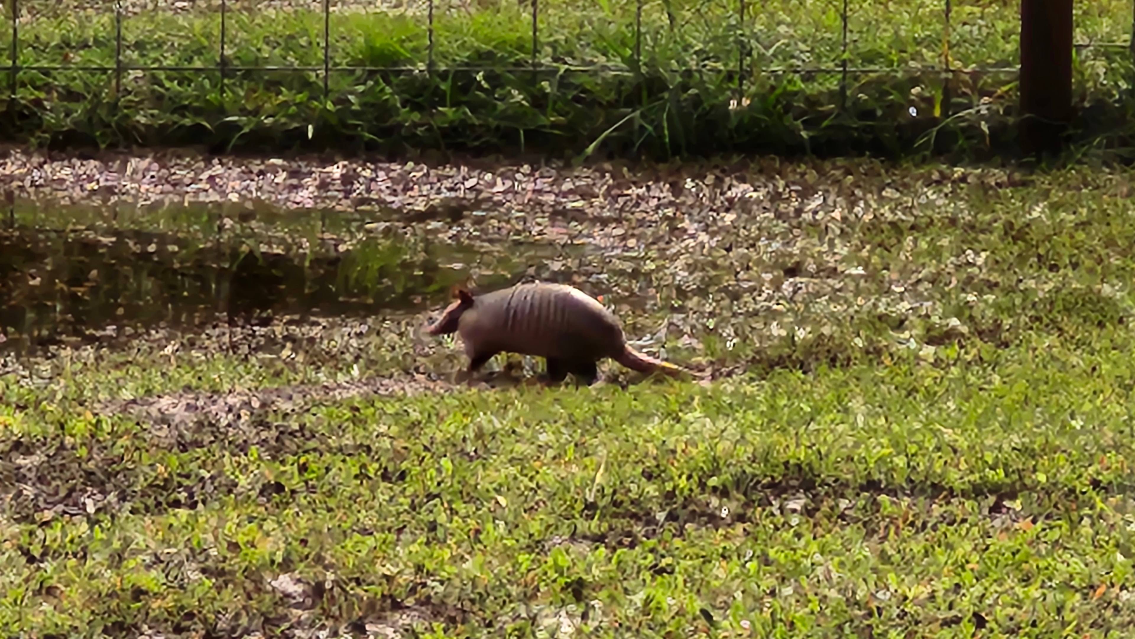 Oasis Under The Oaks