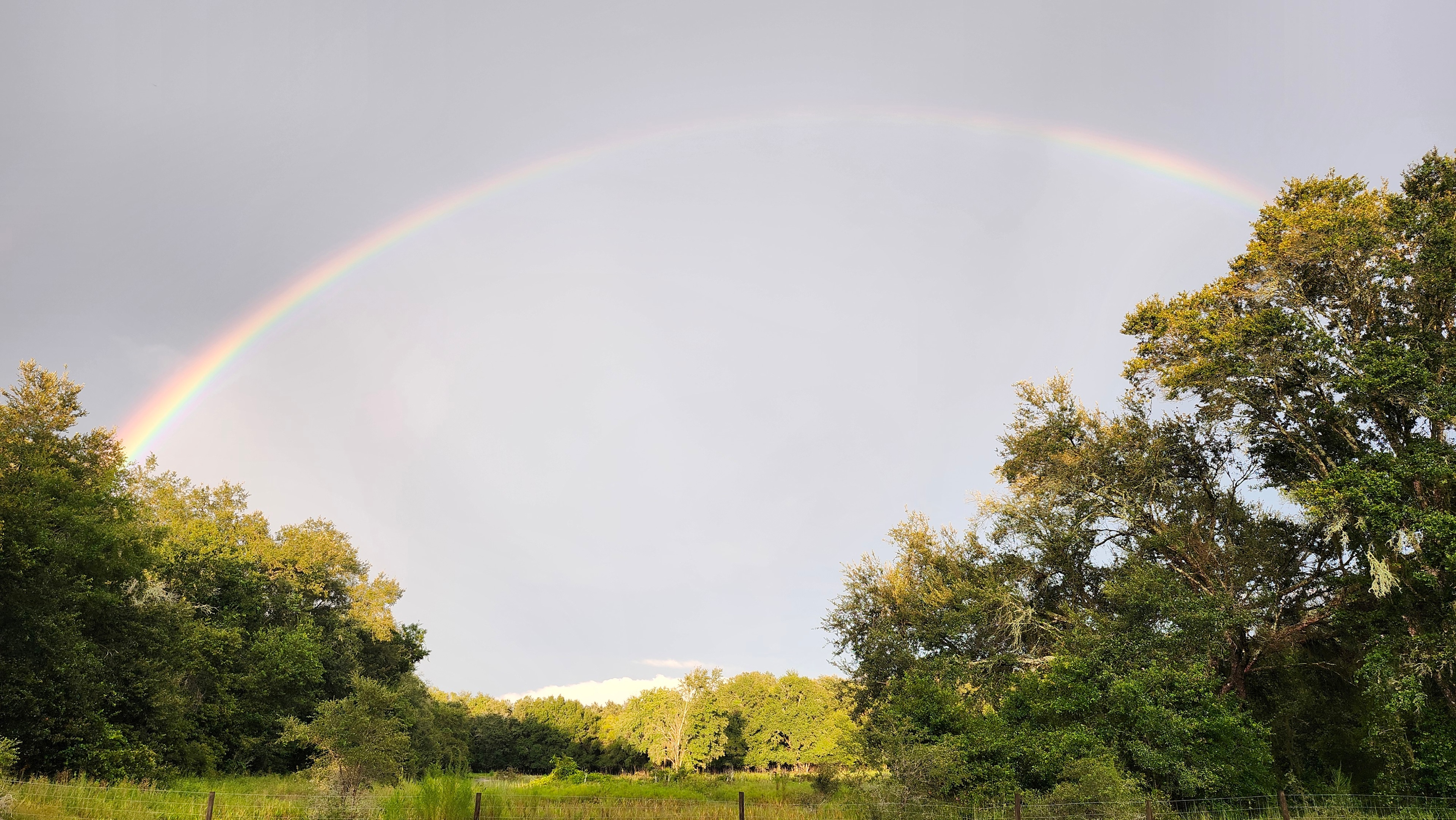 Oasis Under The Oaks