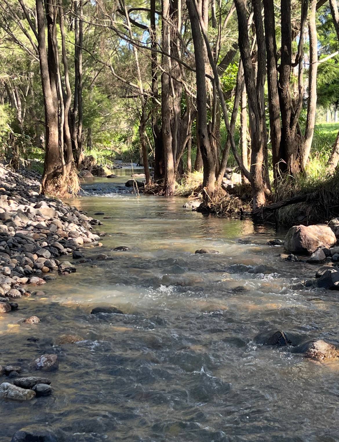 Duck Creek Private Bush Camping