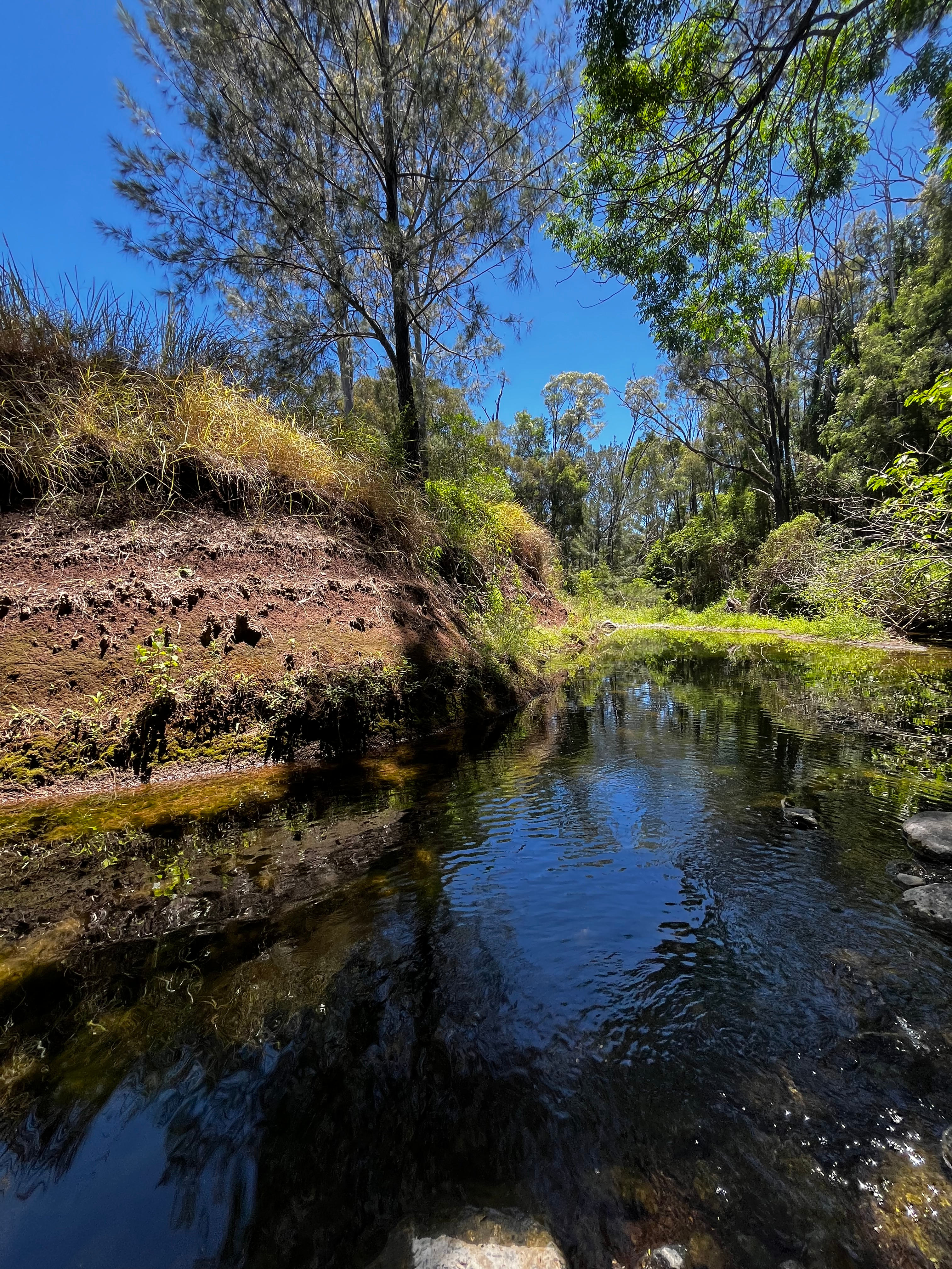 Duck Creek Private Bush Camping