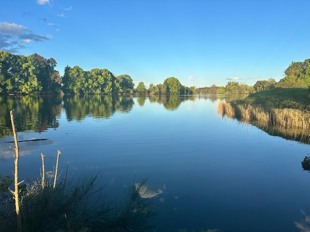Riverwood 383 Fish off the Banks