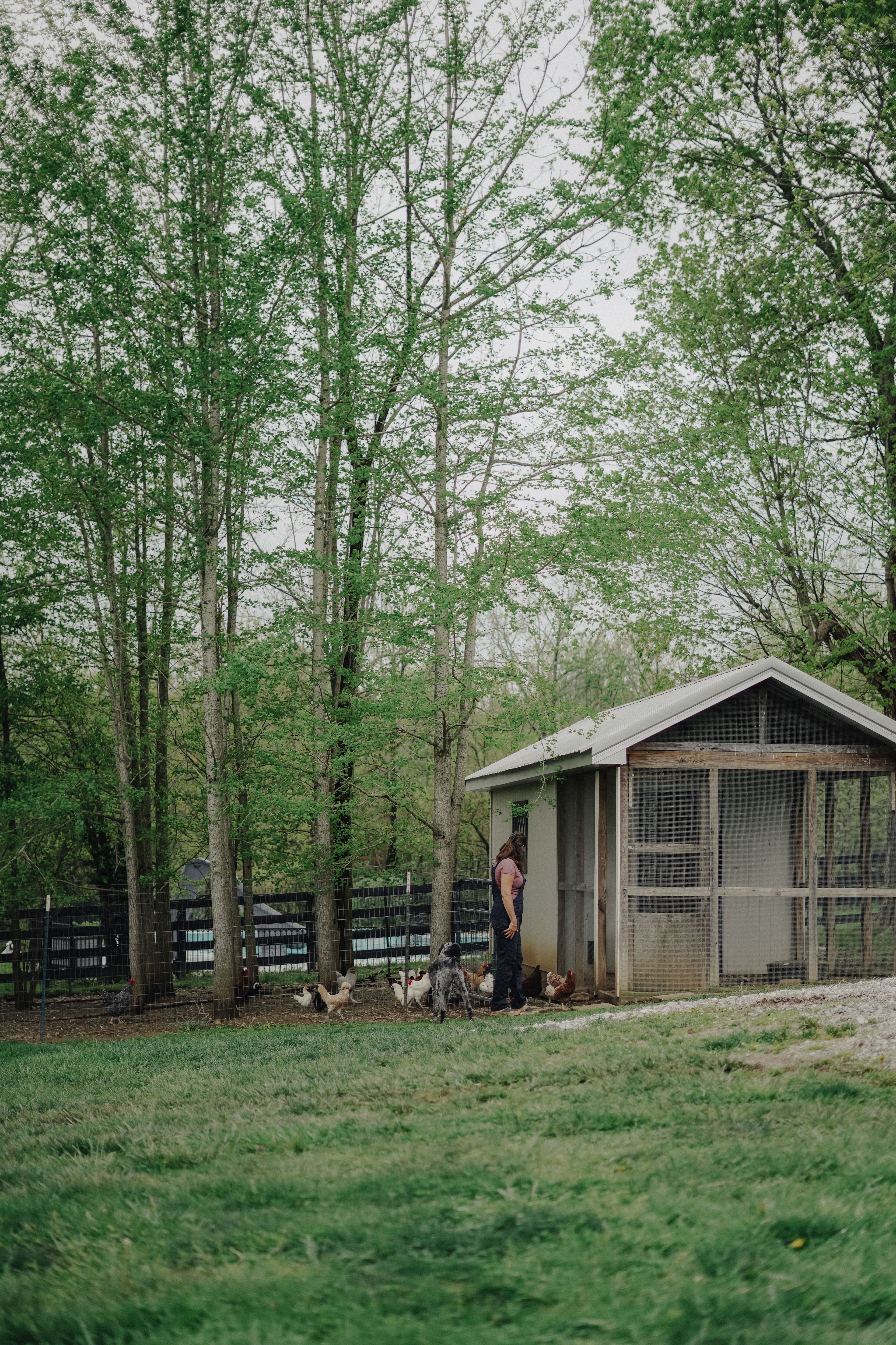 The Farm at Grace Hill