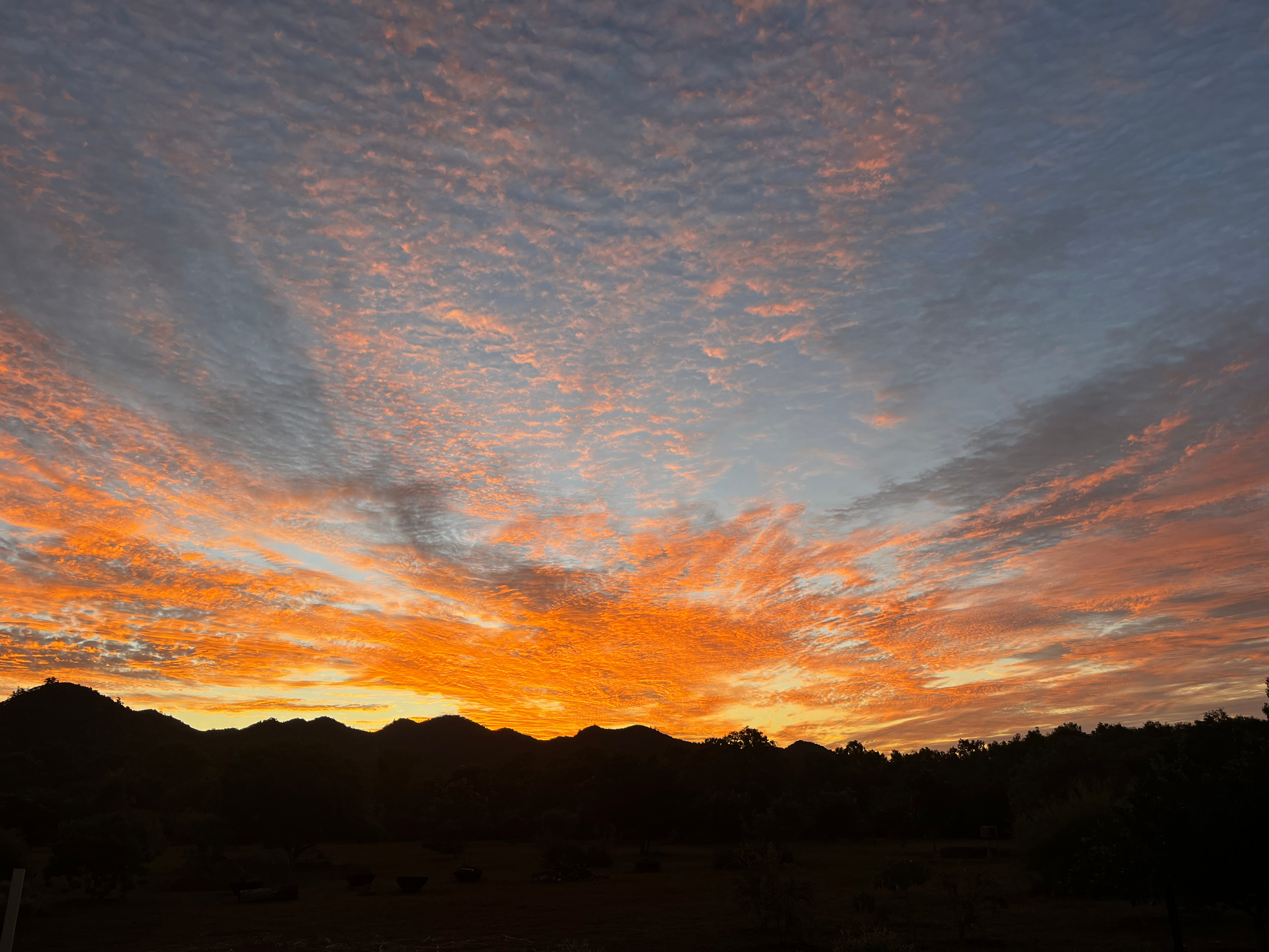Blue Tiger Campsite Magnetic Island