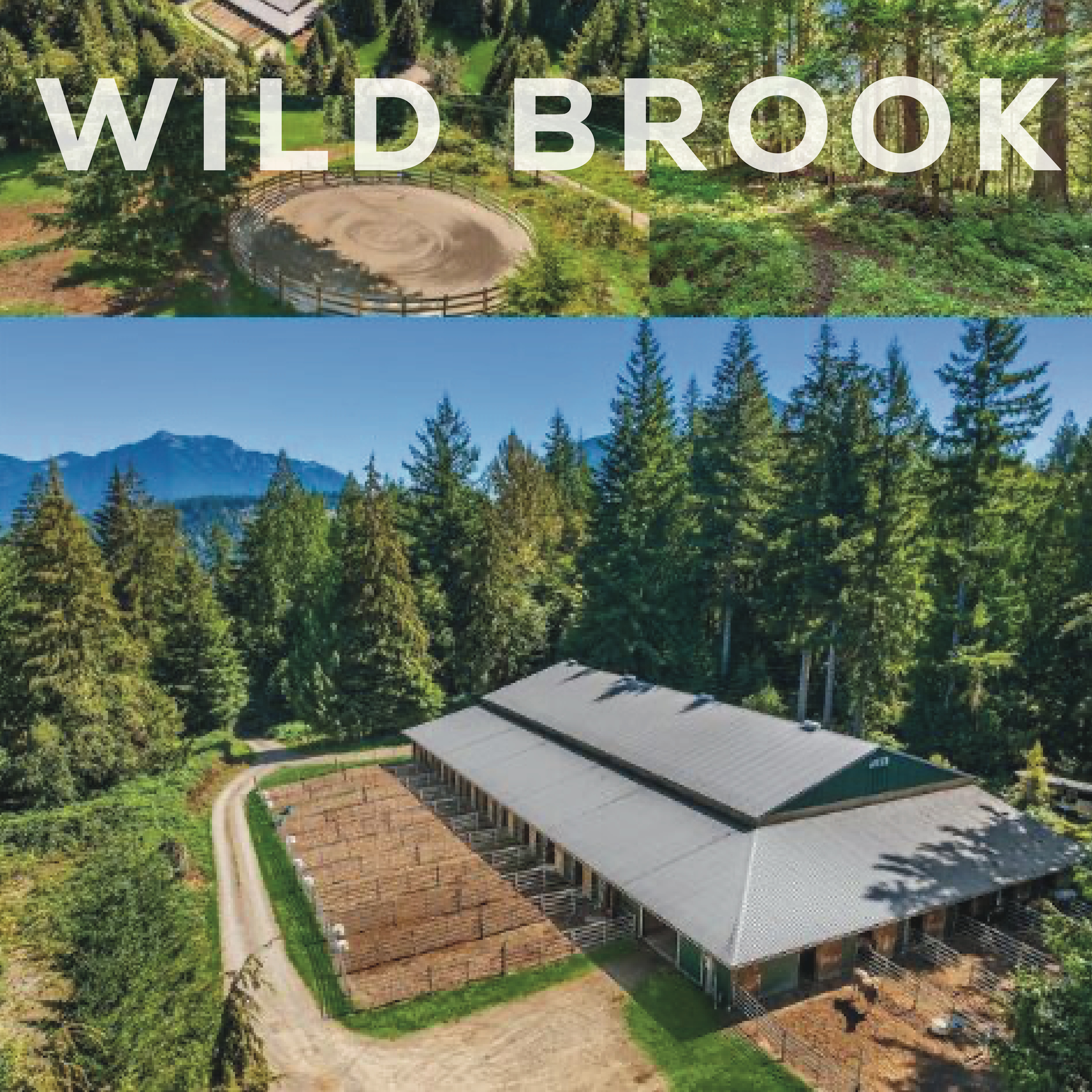 Wildbrook Ranch and Stables