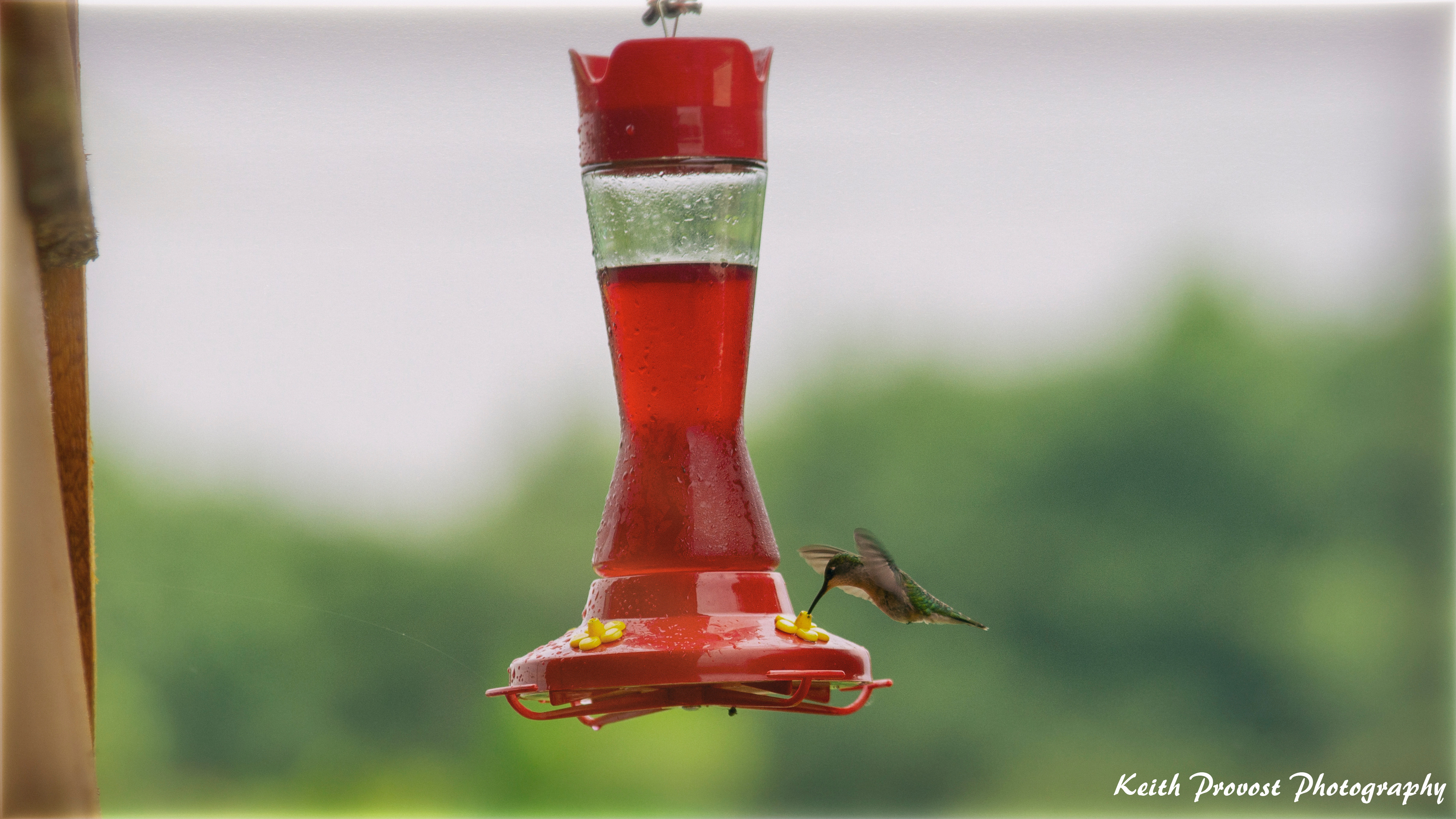 Bicyclist's Paradise on Slosson