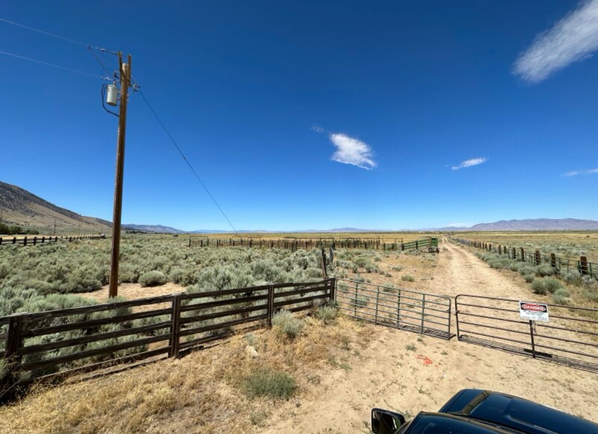 Missy’s Mountain Meadows