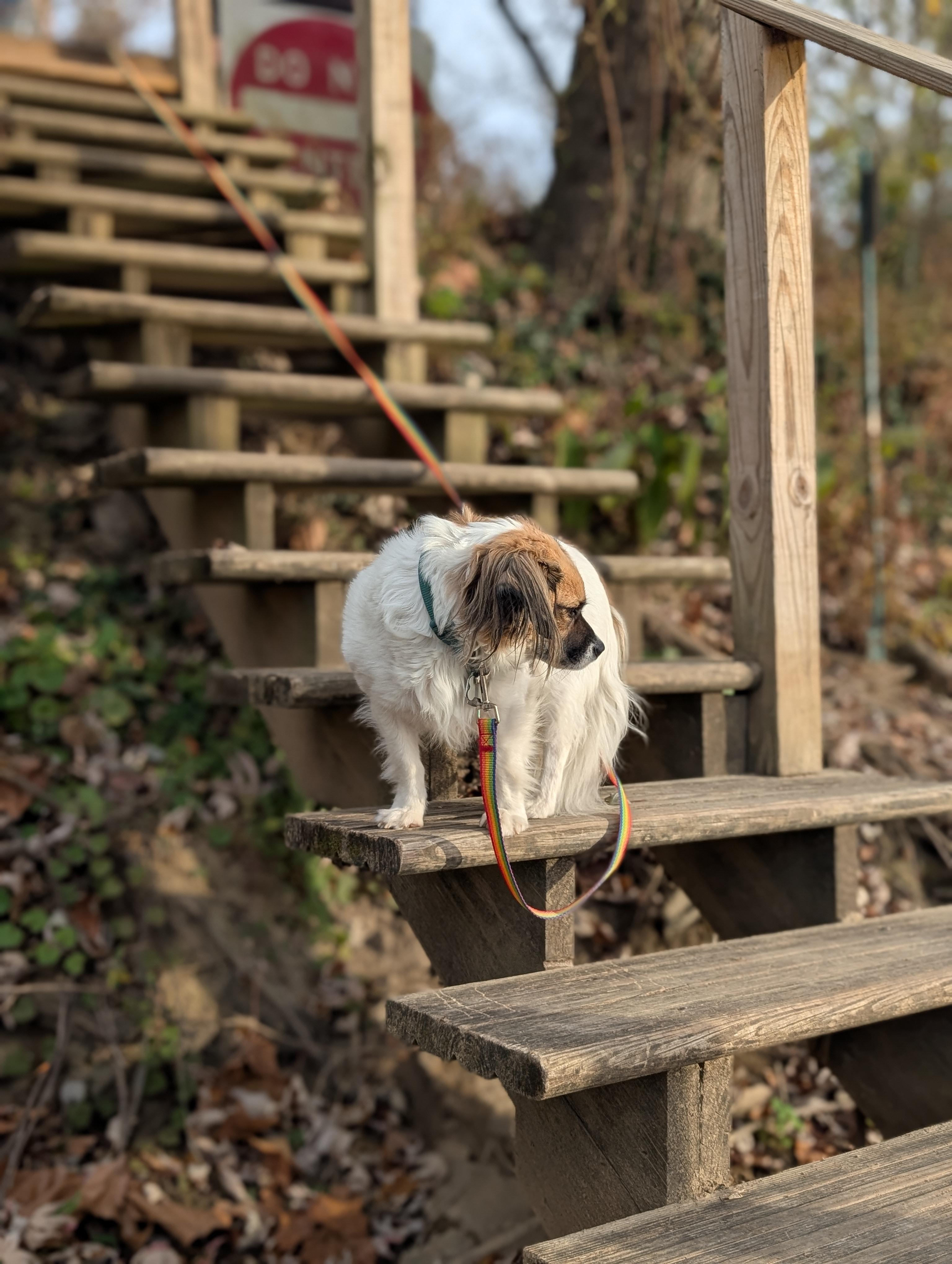 The Lavat Spot Eudaimonia