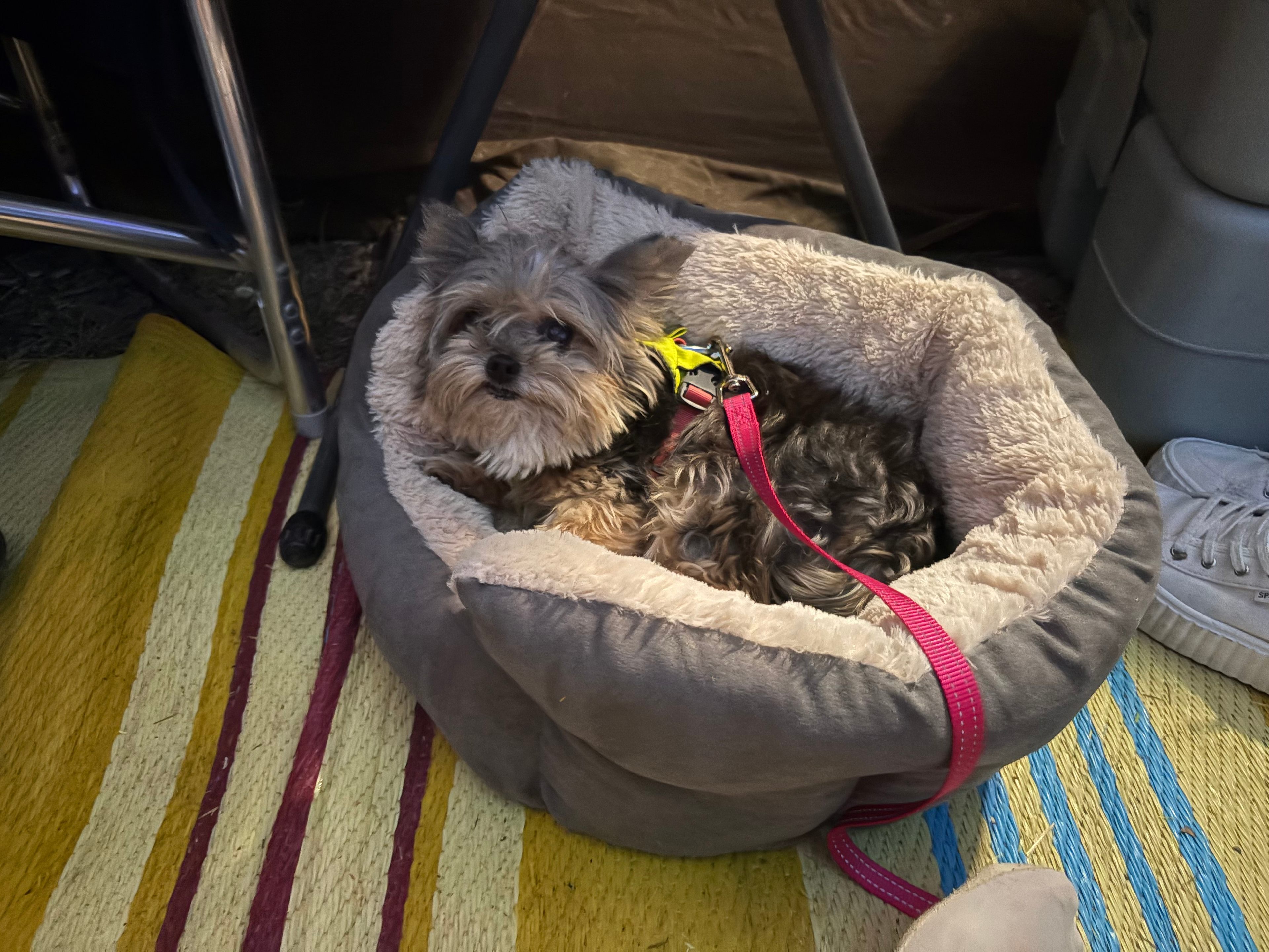 Bee Friendly Austin: Honey Bee Farm