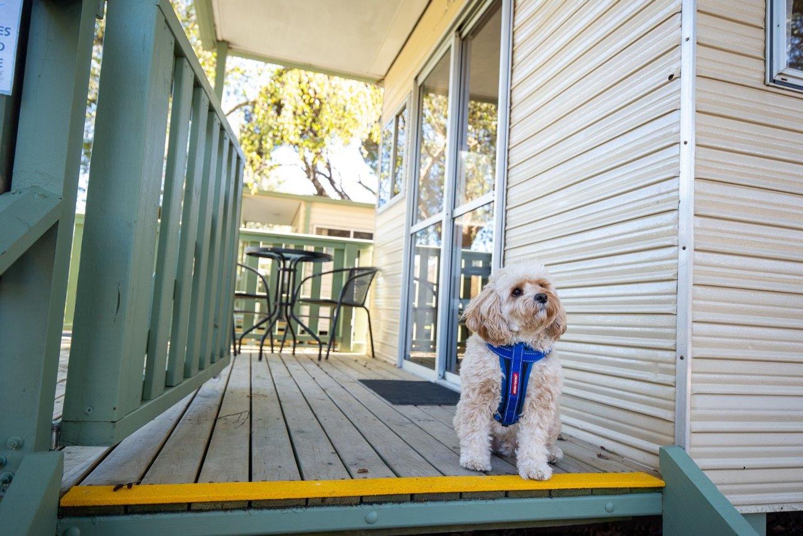 Warburton Holiday Park