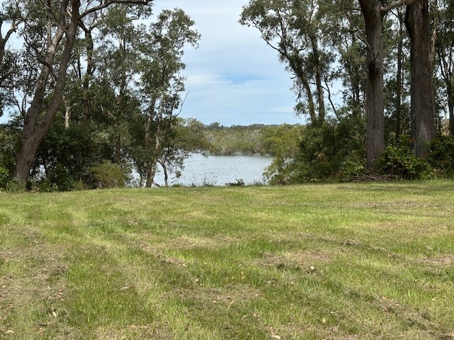 Hastings River Farm Camping