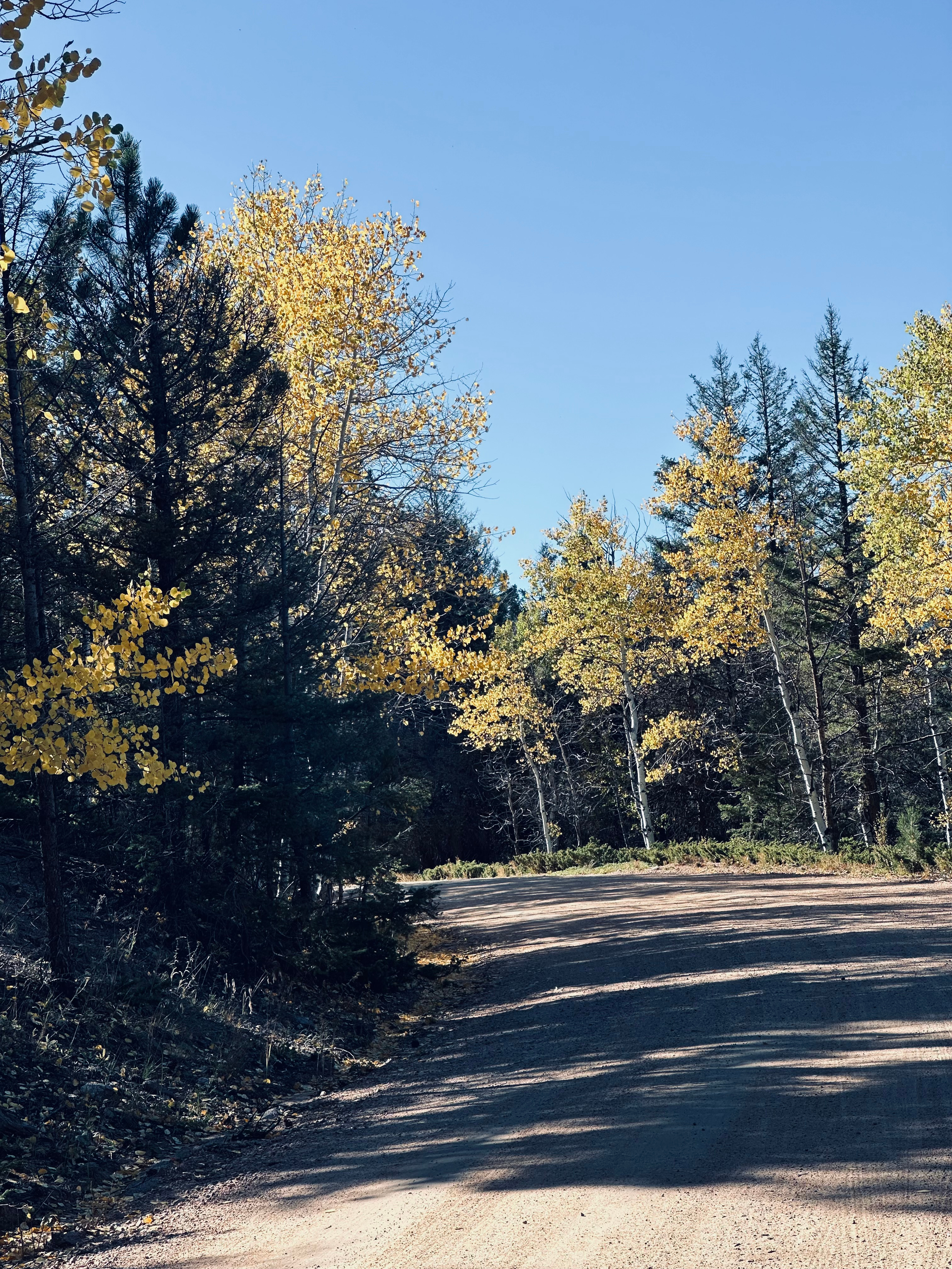 Nanny & Poppy’s Haven