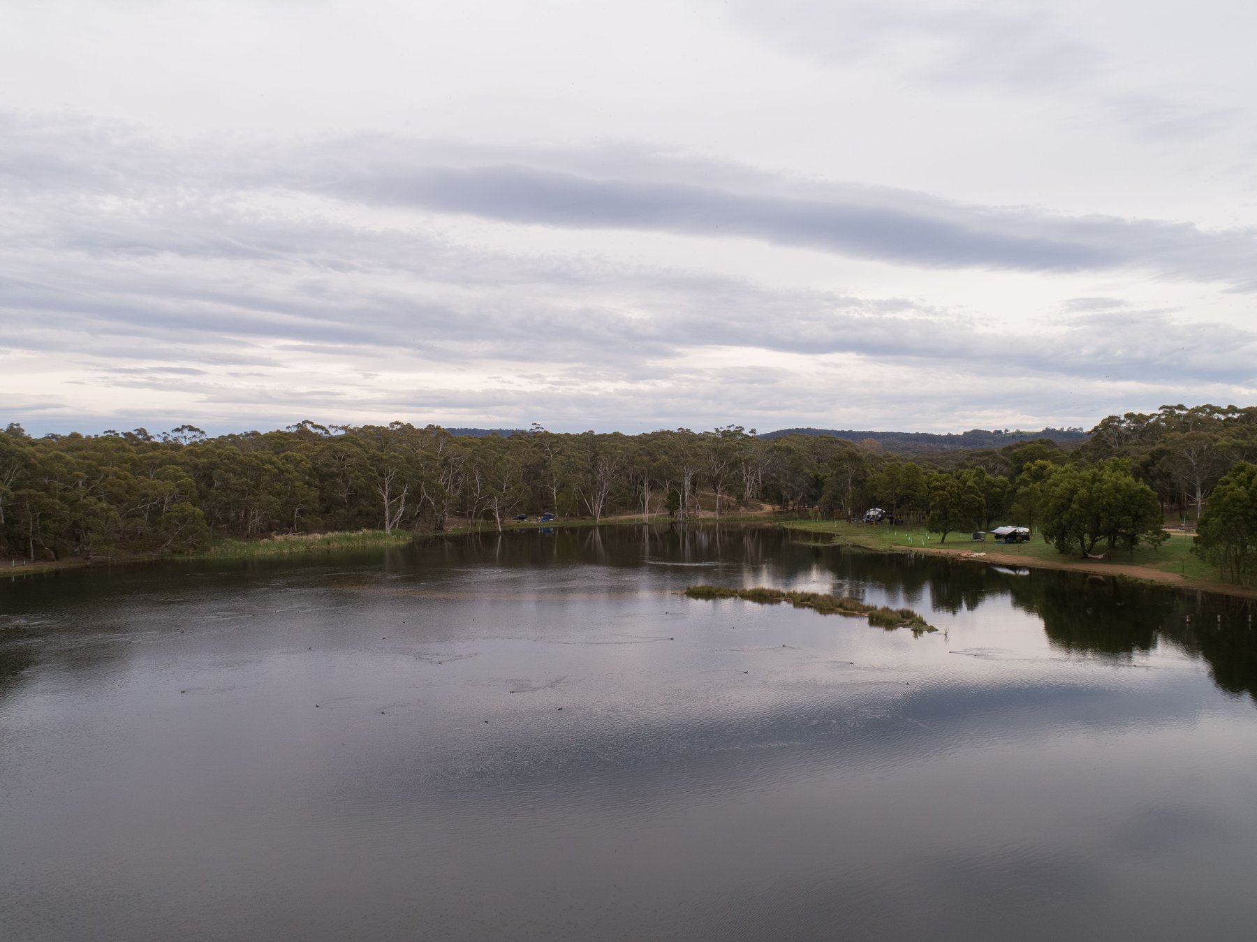 Lancefield Lake's A WETLANDS WONDER