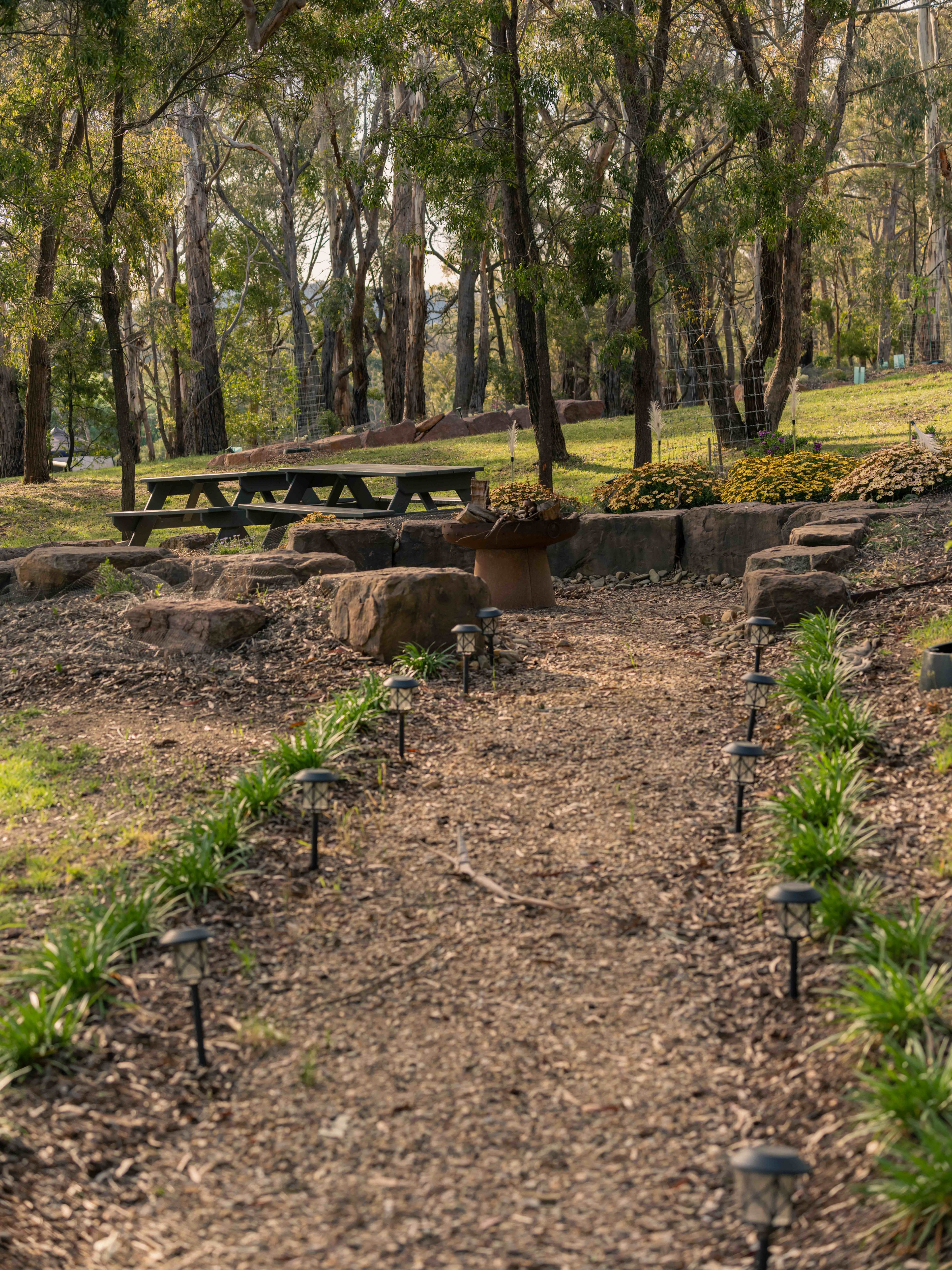 Lancefield Lake's A WETLANDS WONDER
