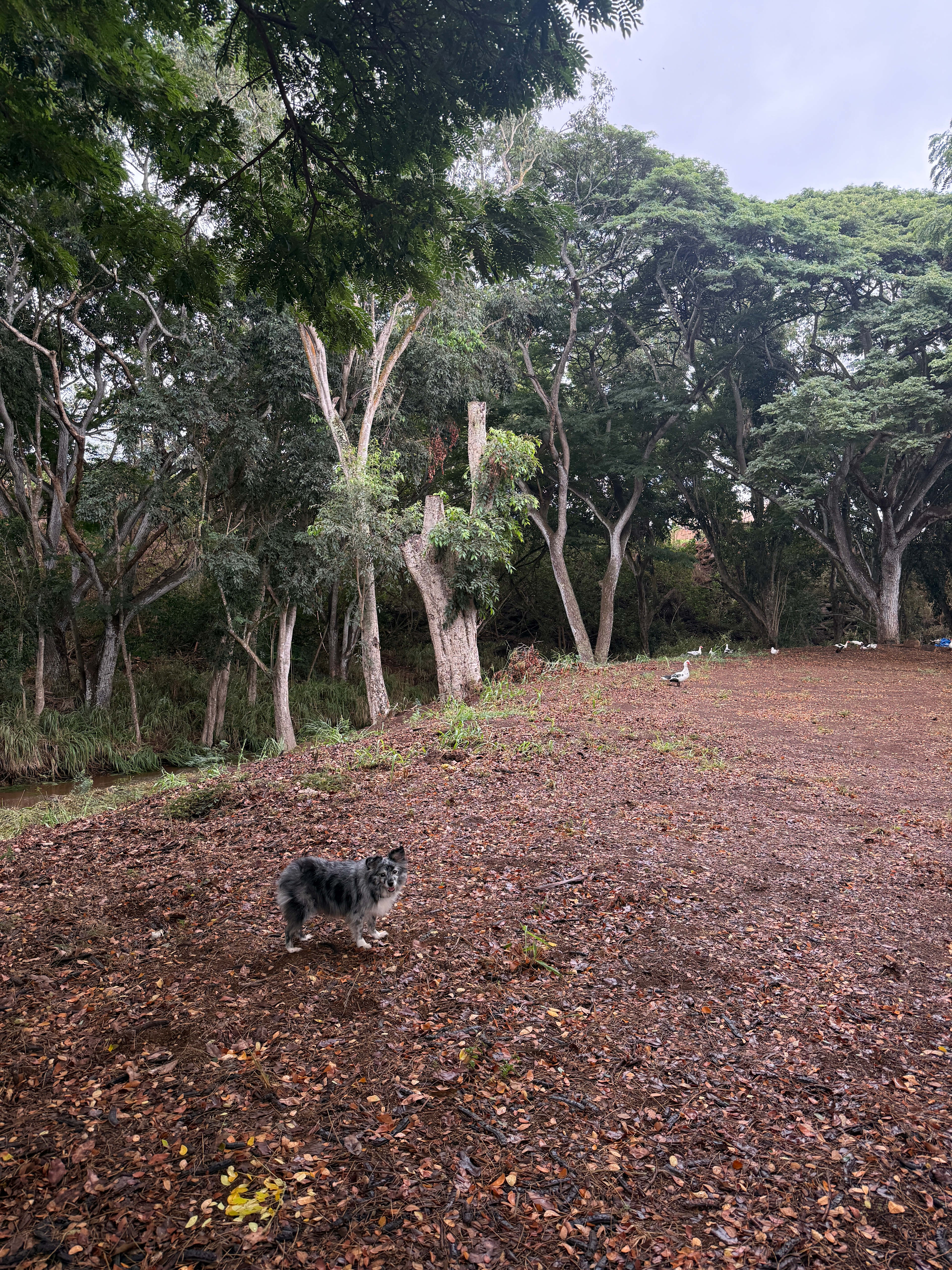 Experience Outdoor Life