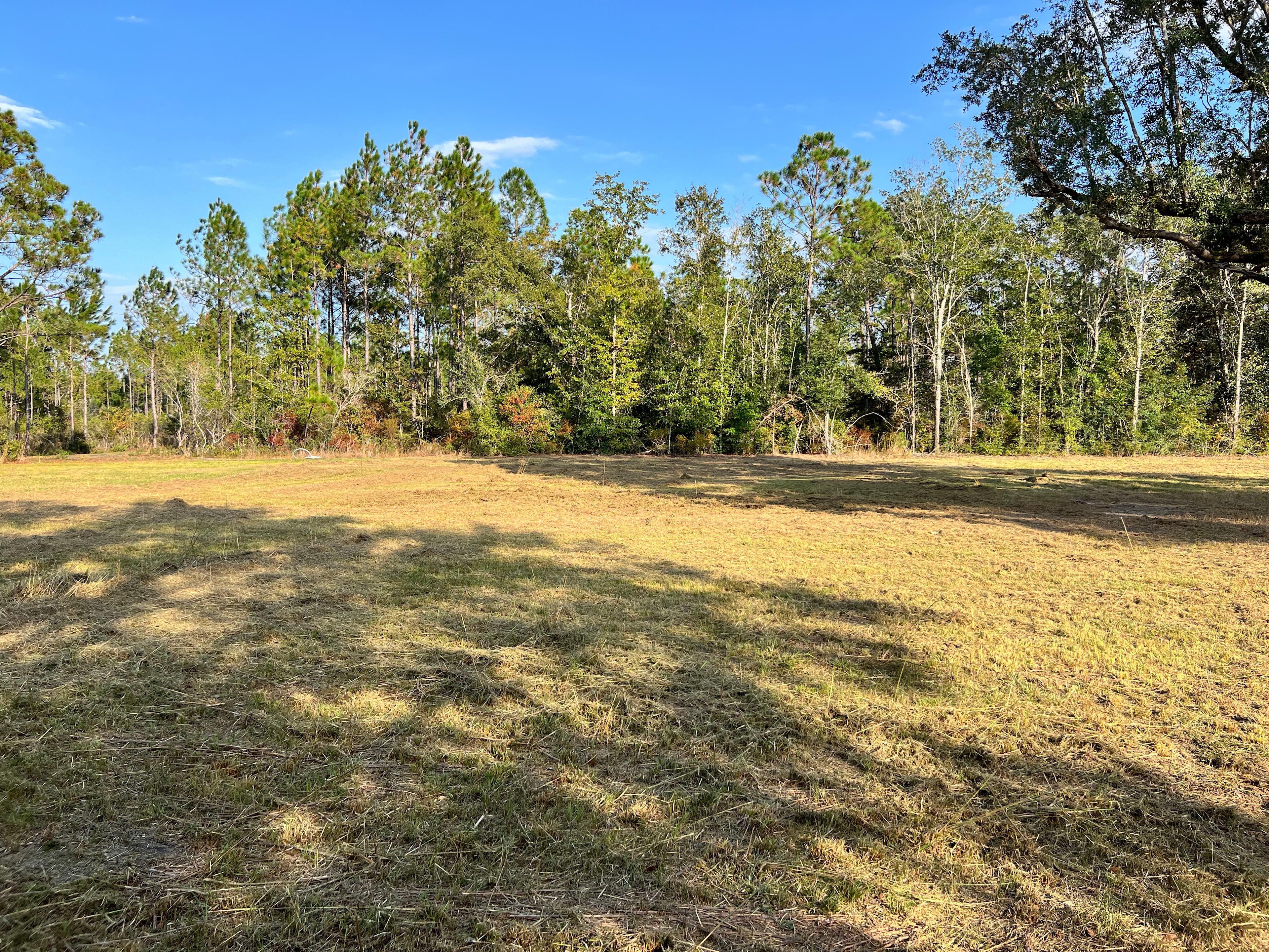 Garcon Live Oaks under the Stars