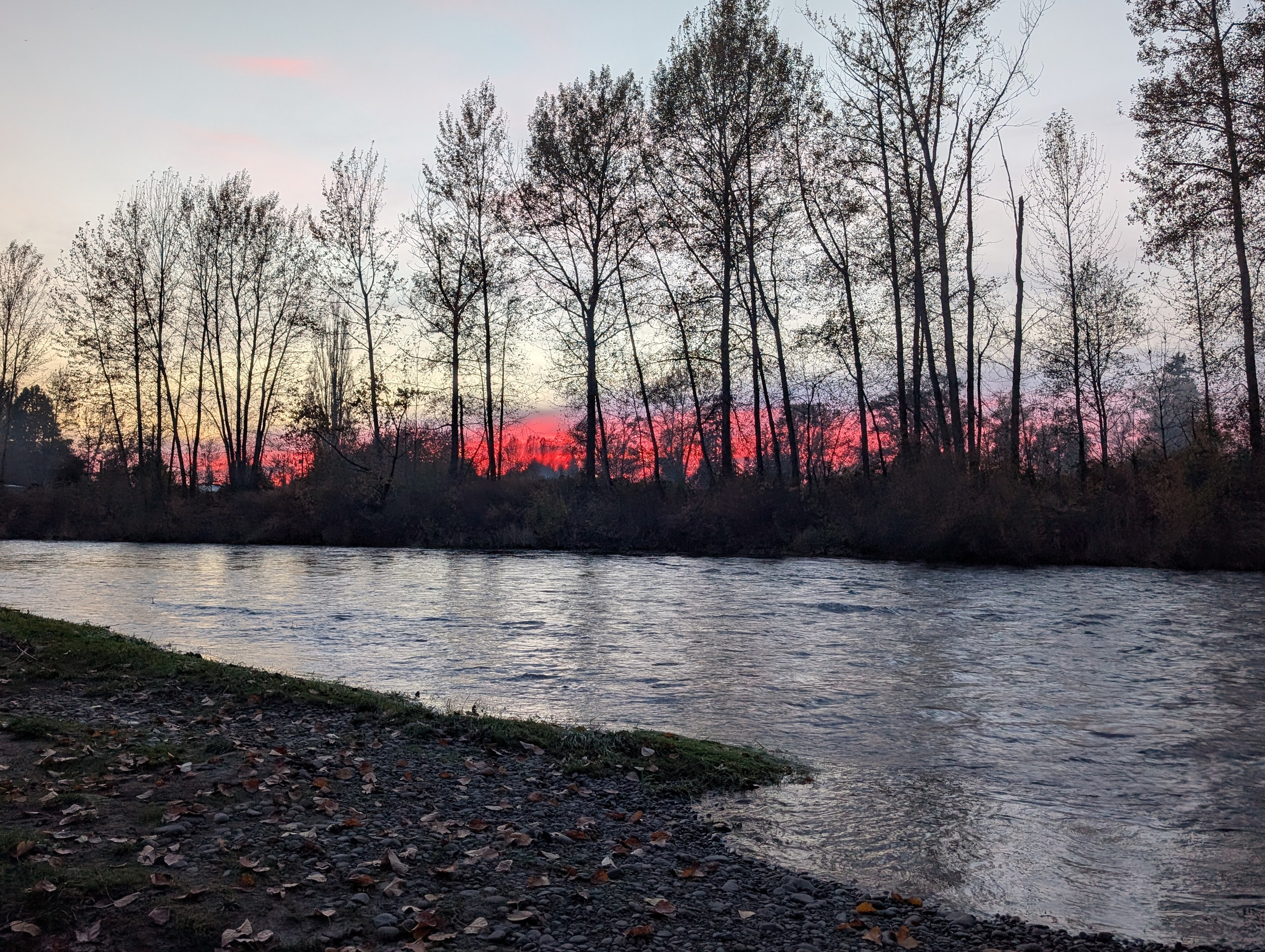 Molalla Ripple