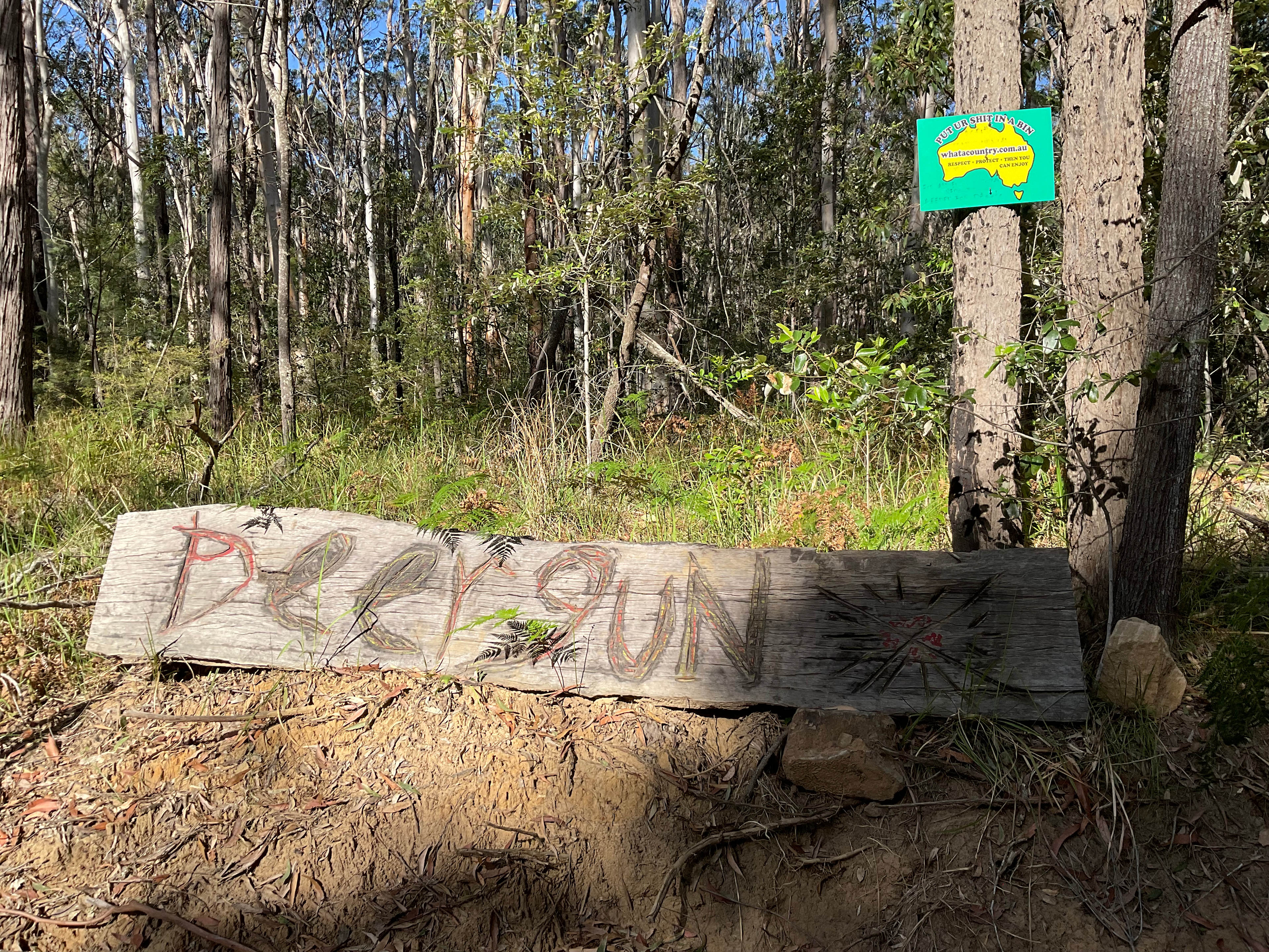 Shark Creek intheBush Camp