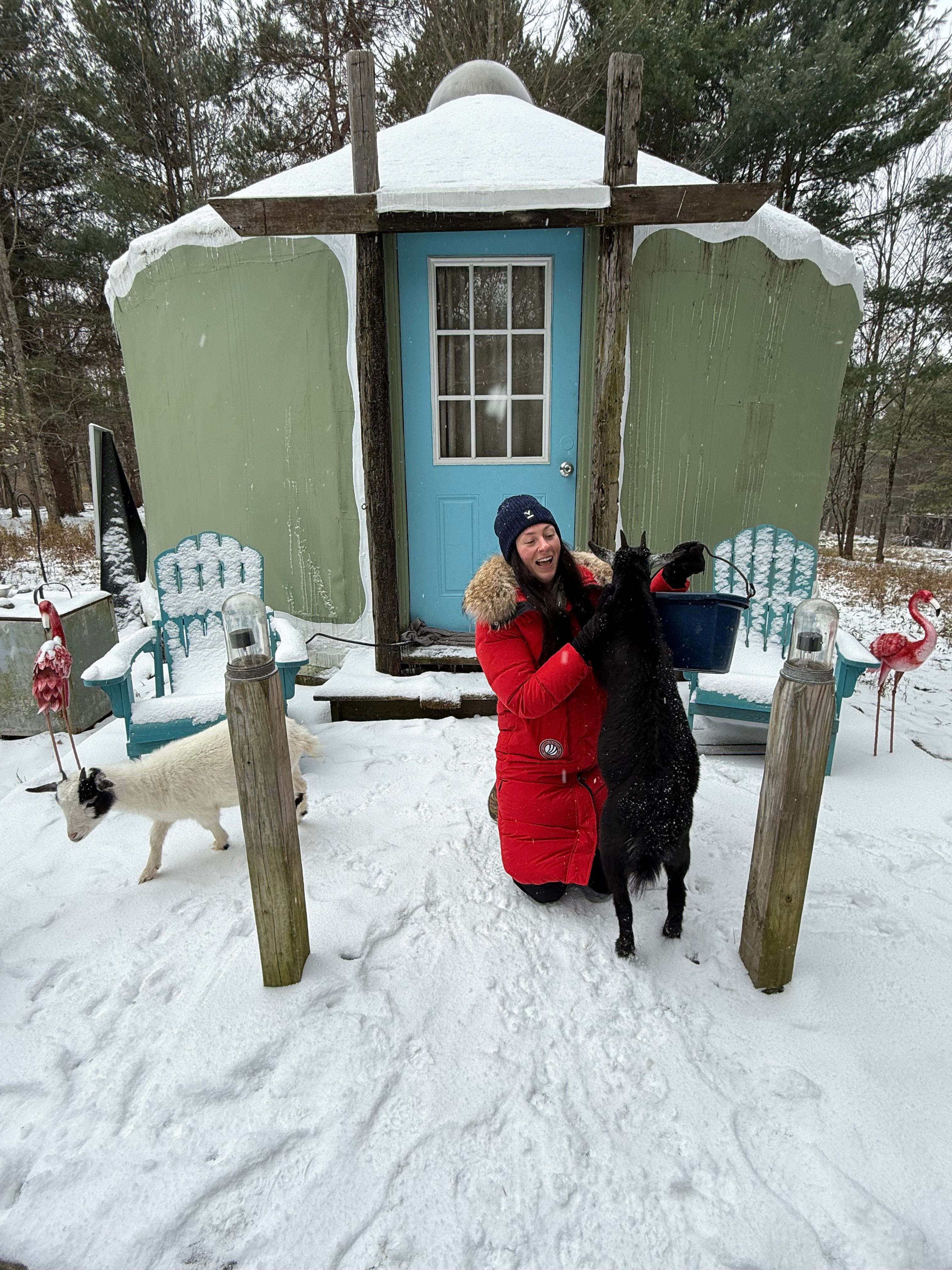 Mariaville Goat Farm Yurt
