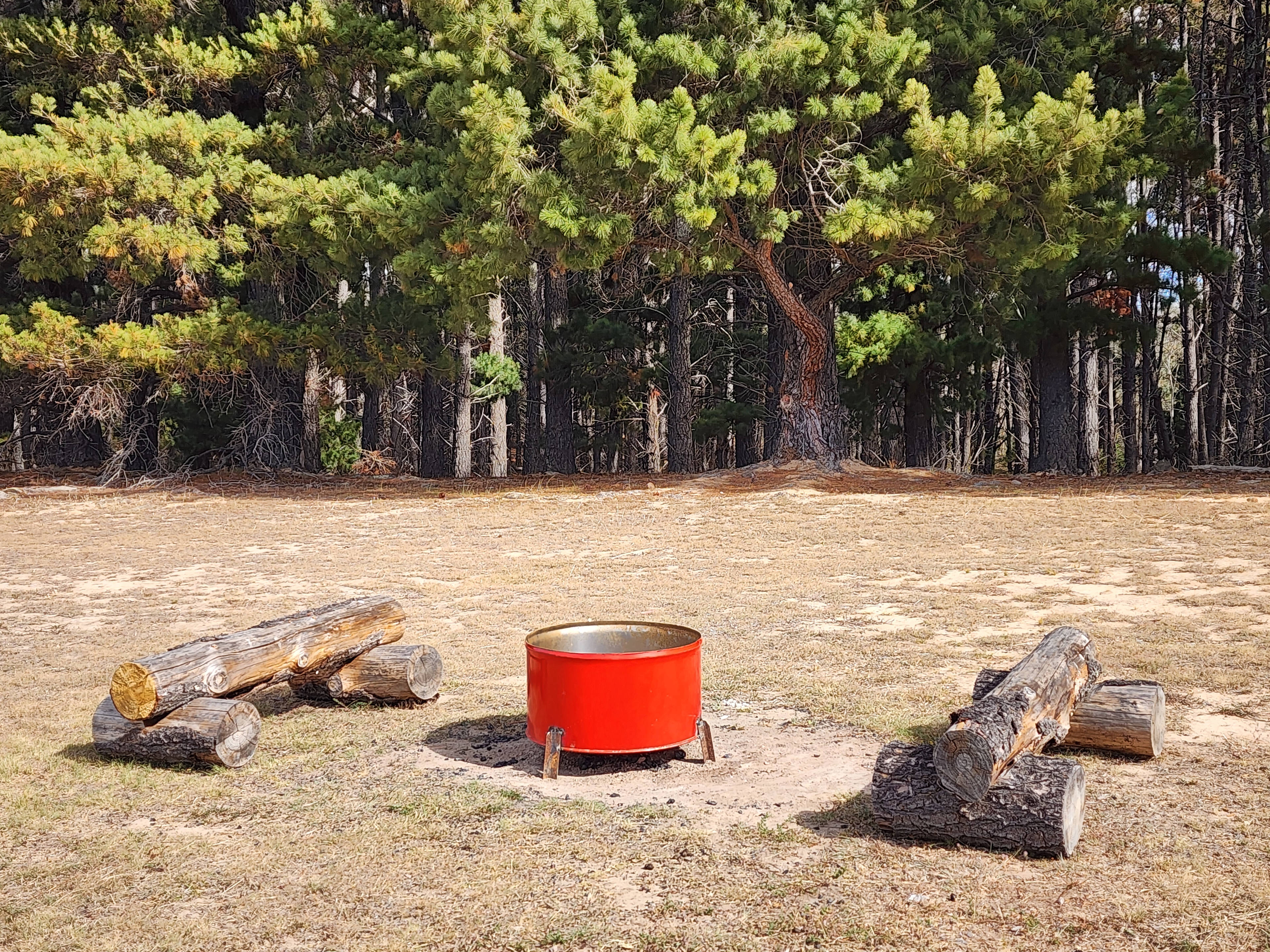 Campground and firepit