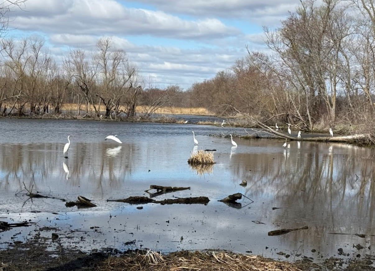 Riverview Fin & Feather Campground
