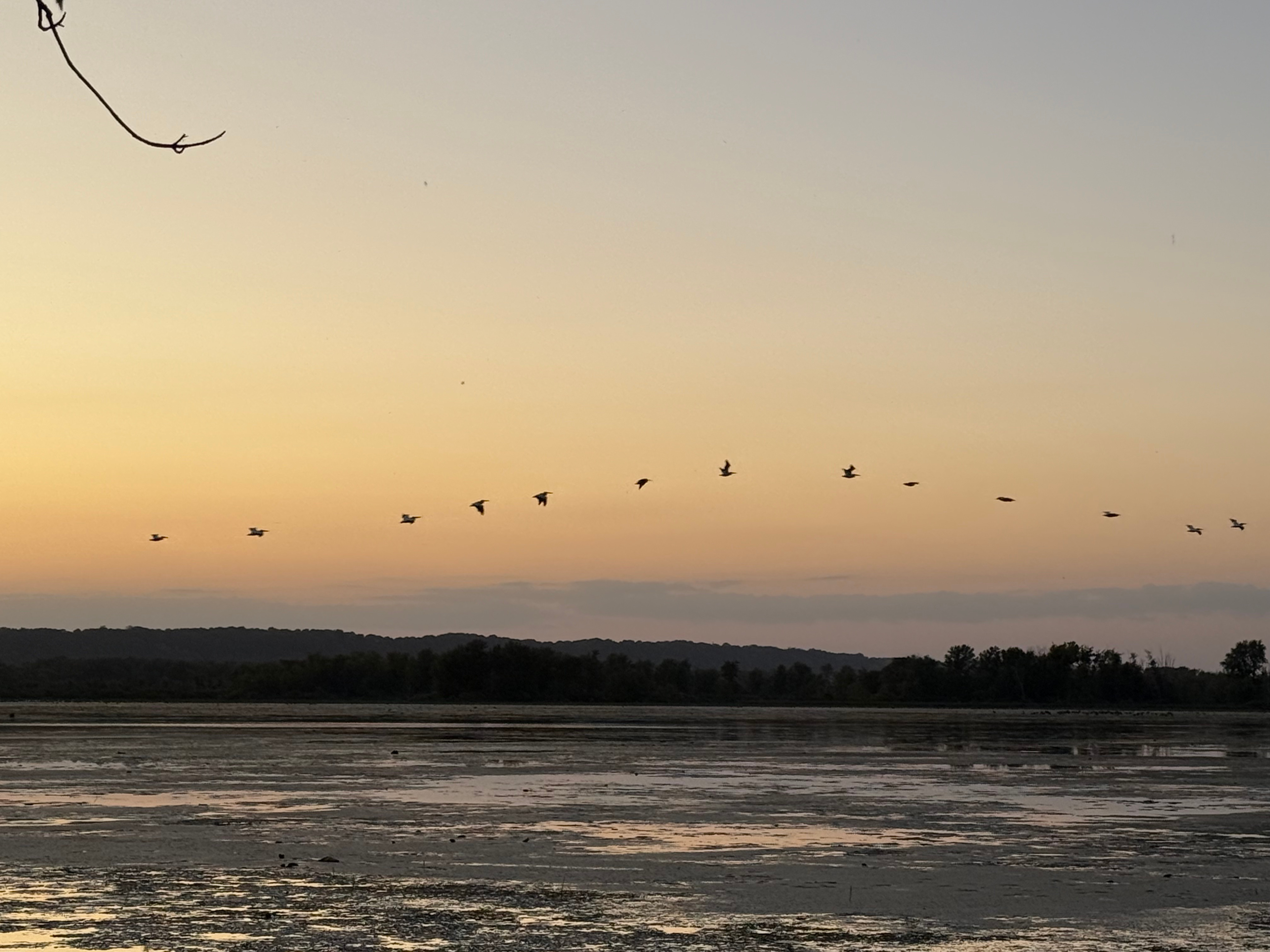 Riverview Fin & Feather Campground
