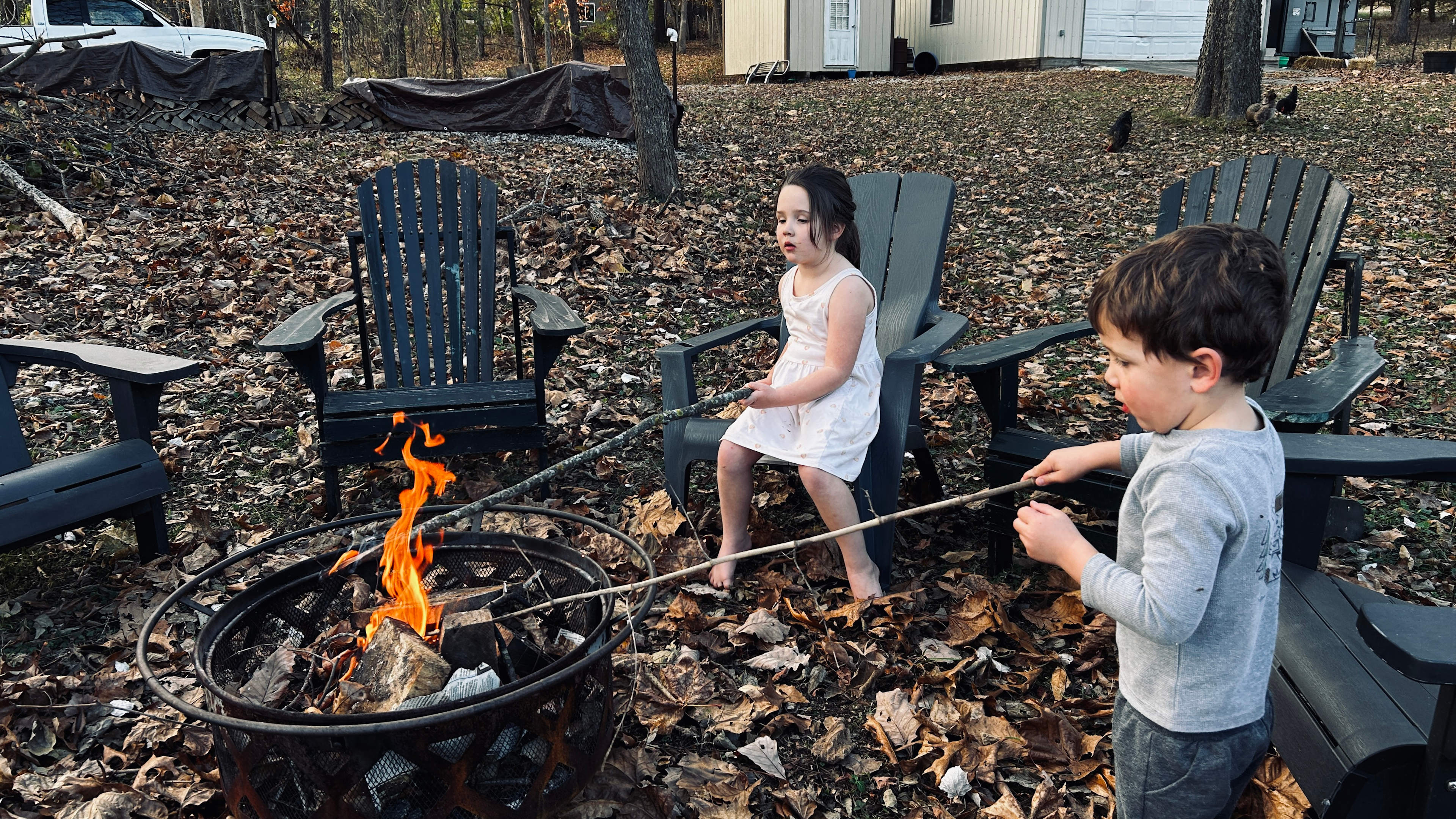The Walnut Retreat