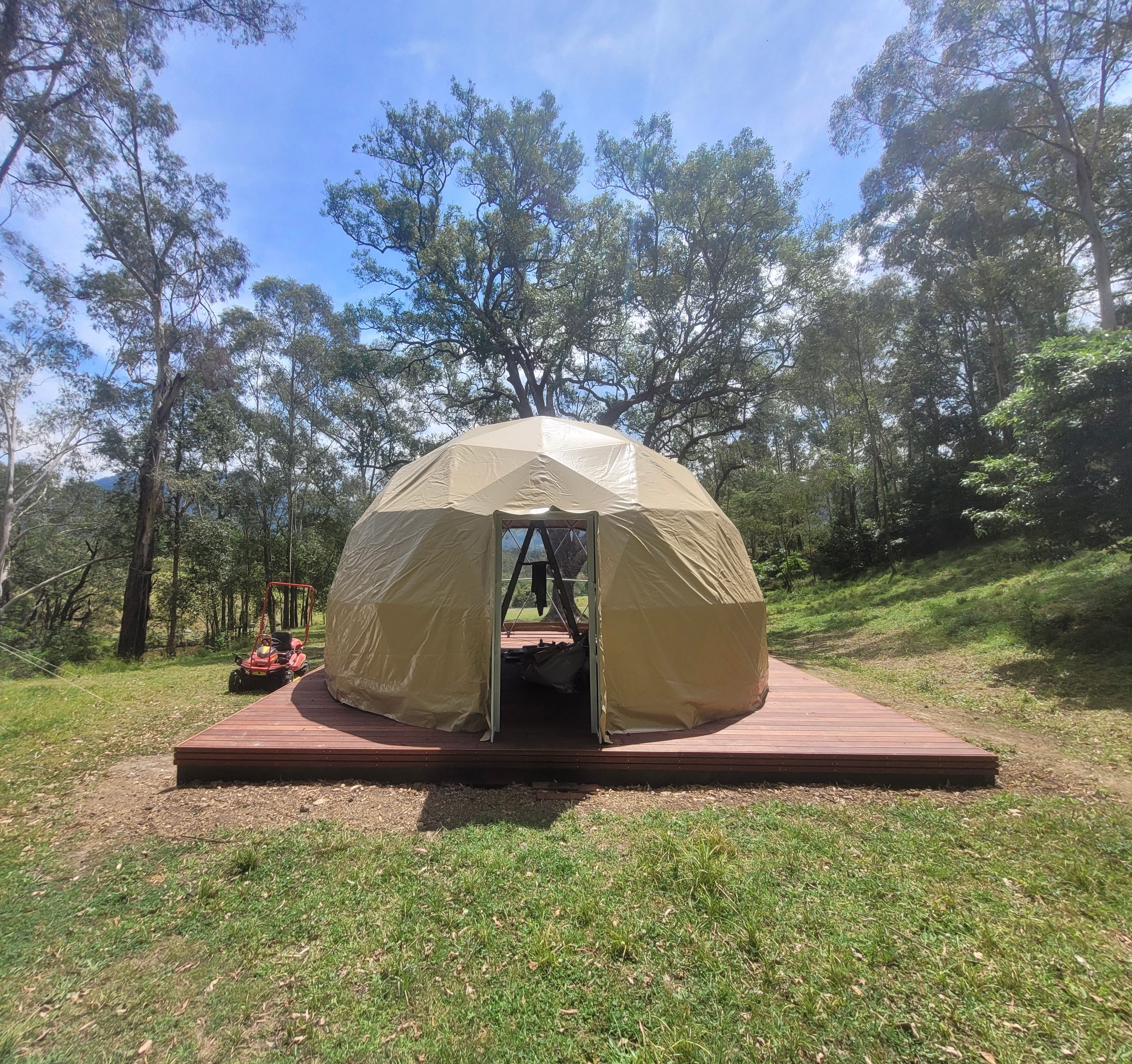 Glamping Around An Ancient Tree