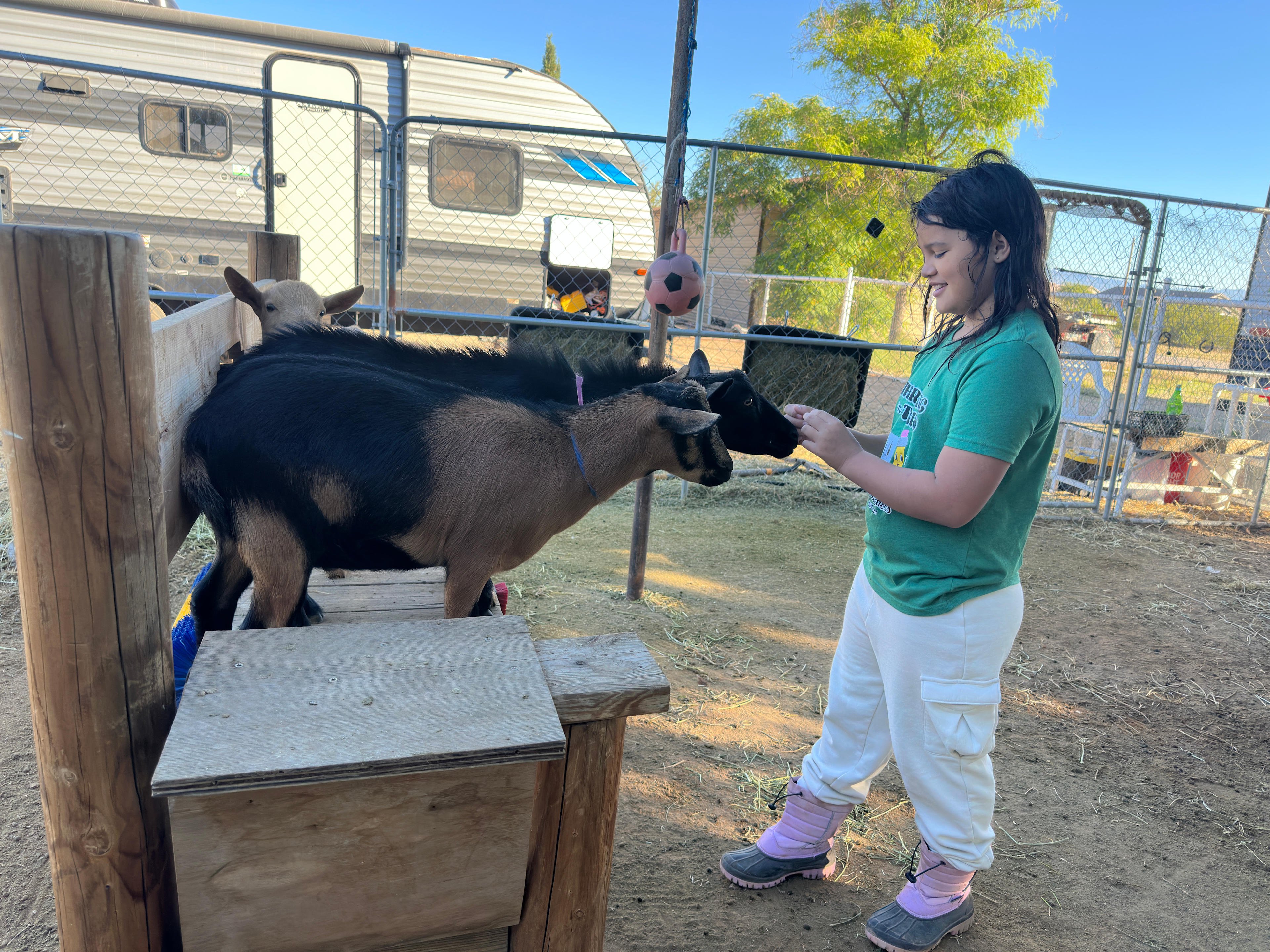 Kokosky Homestead RV Sites