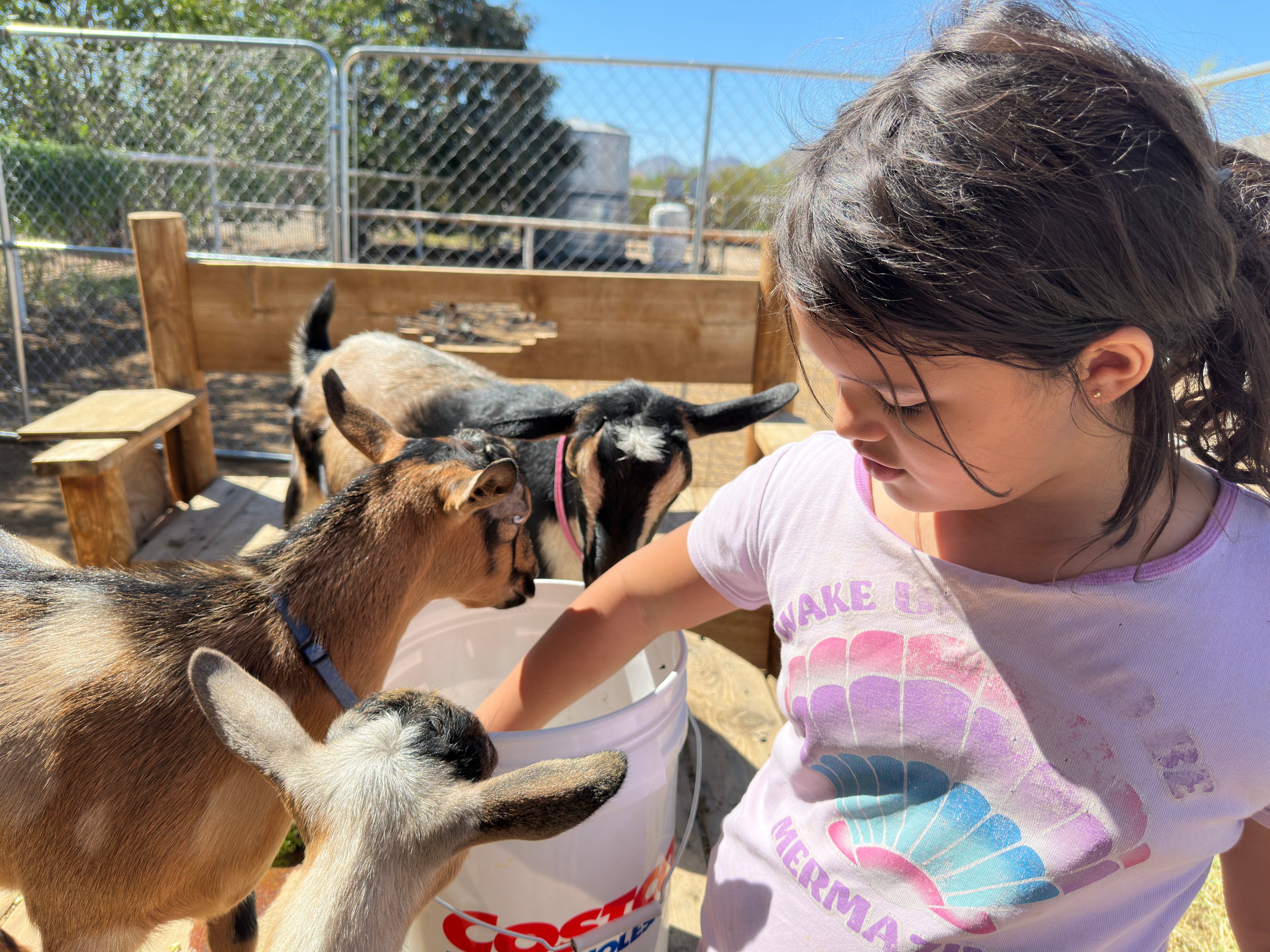 Kokosky Homestead RV Sites