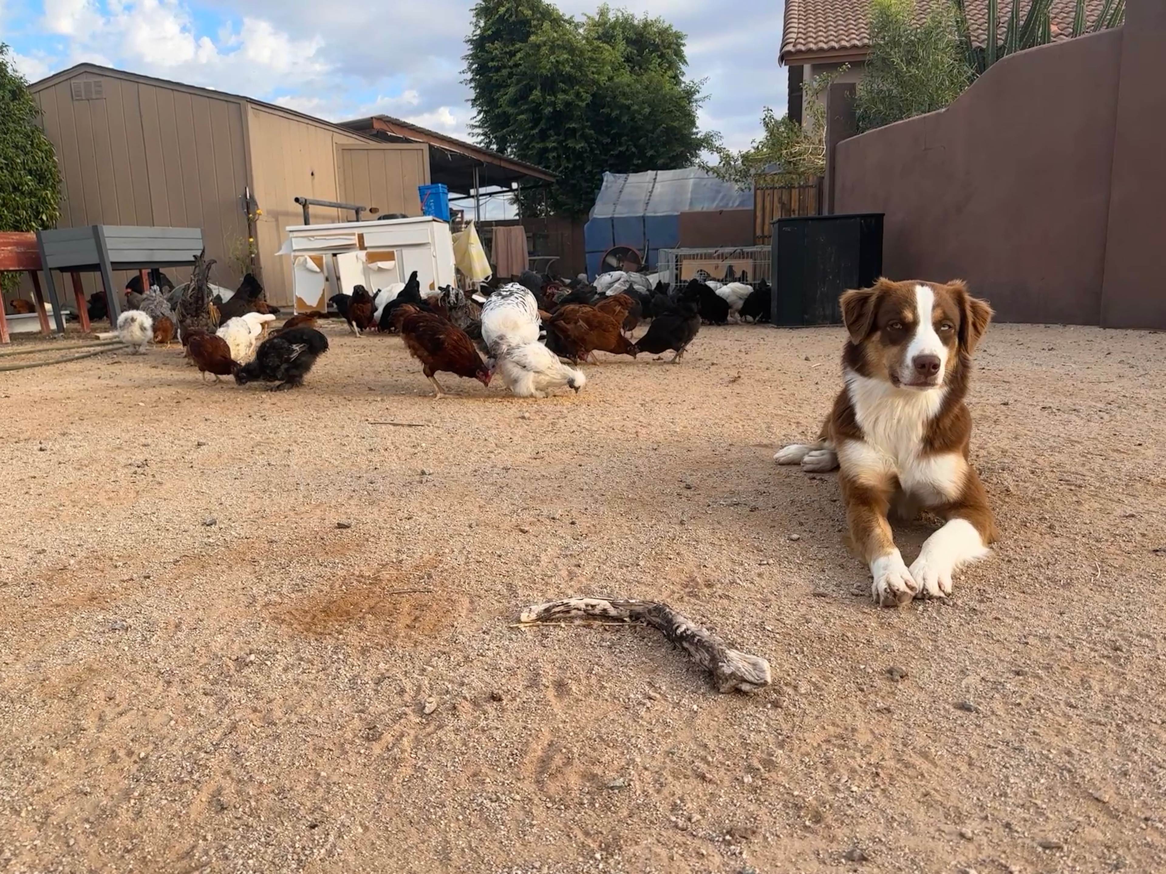 Kokosky Homestead RV Sites