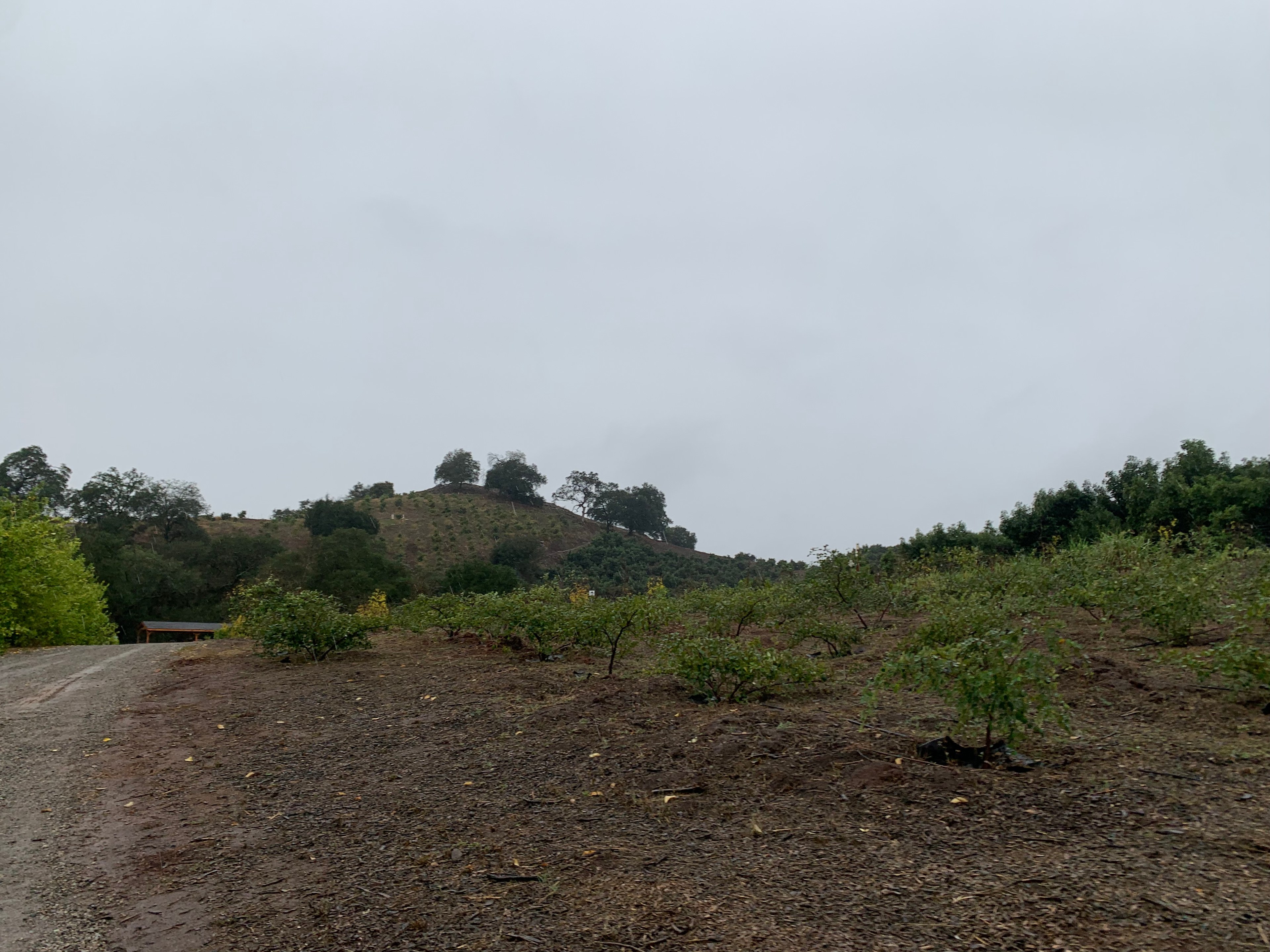 View as you drive to the community gathering space, children's outdoor playground and covered patio. 