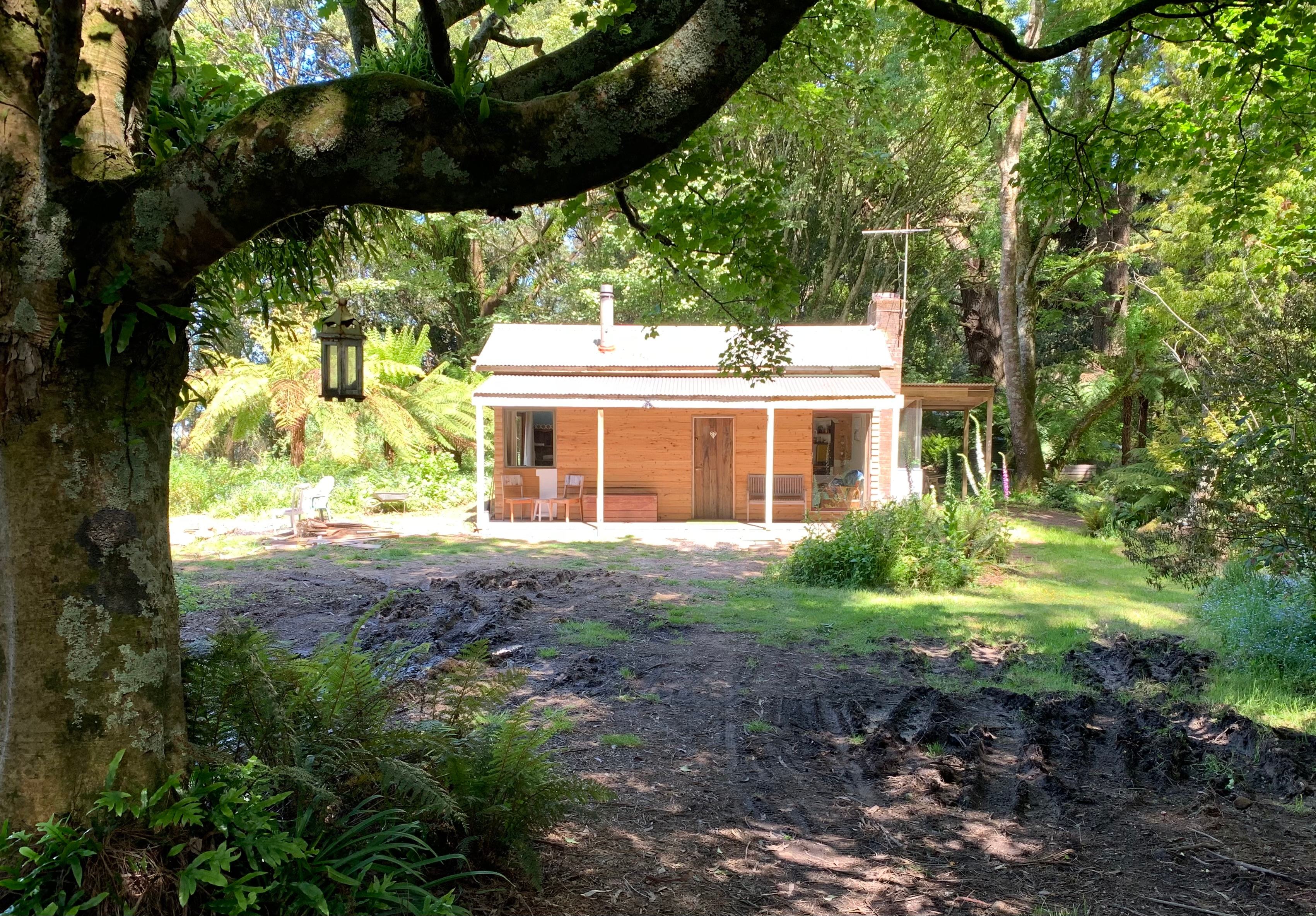 Cabin in the Forest