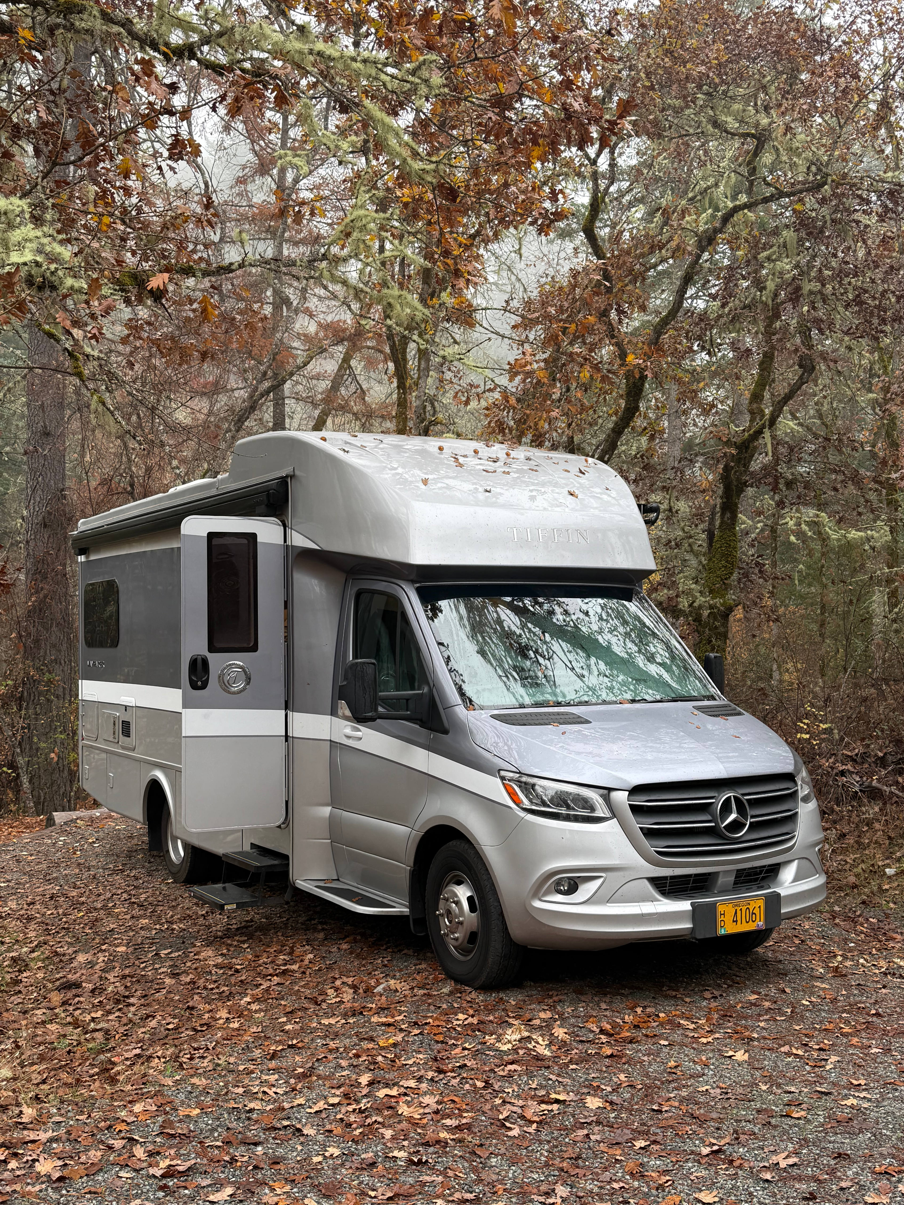 Forested creekside campsite