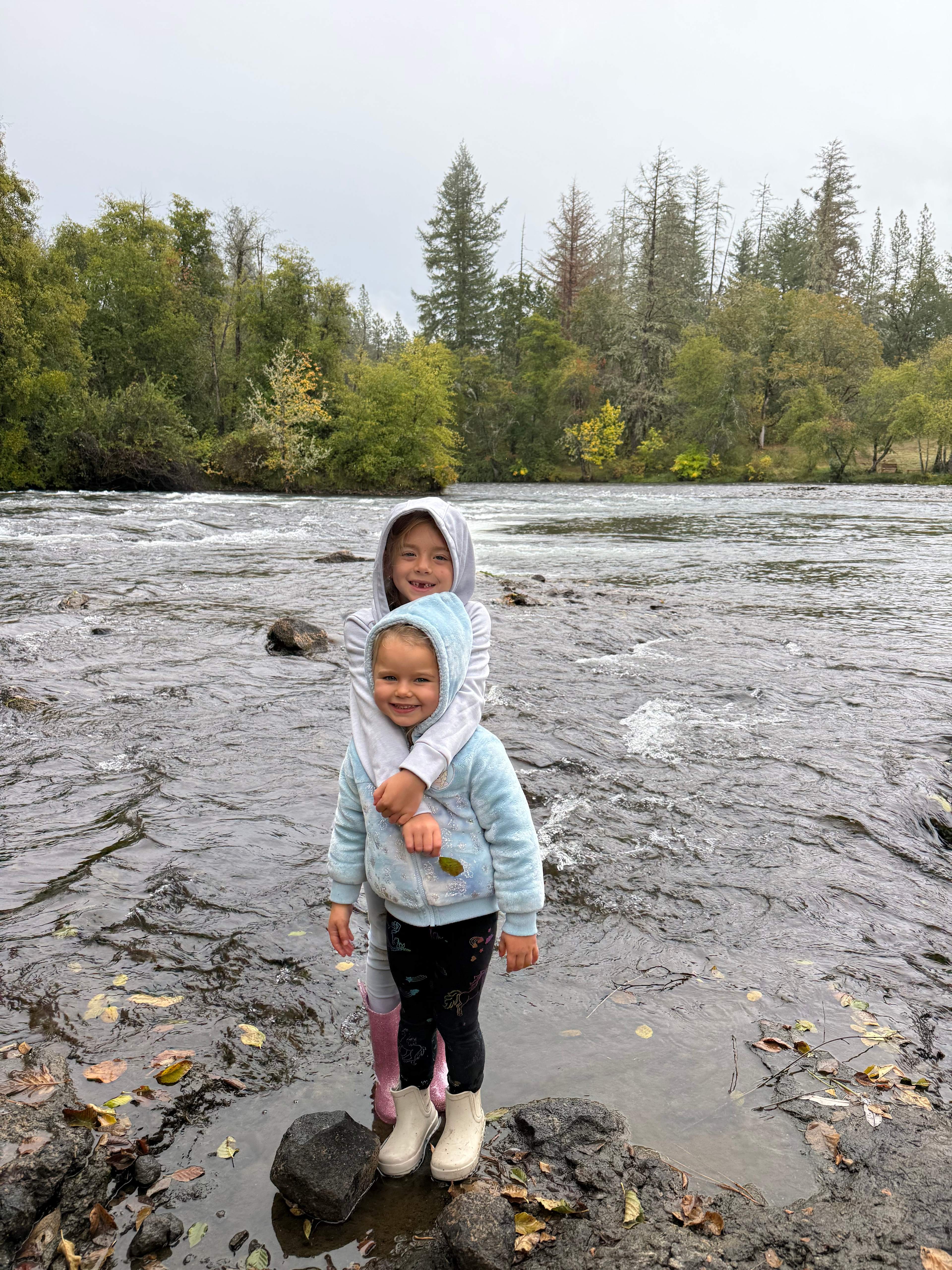 Two Dogs At The River
