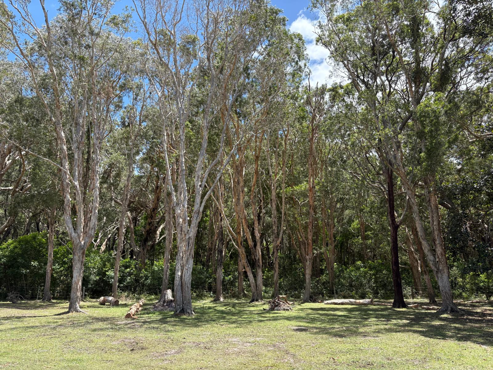 Murphy's Campground - Crescent Head