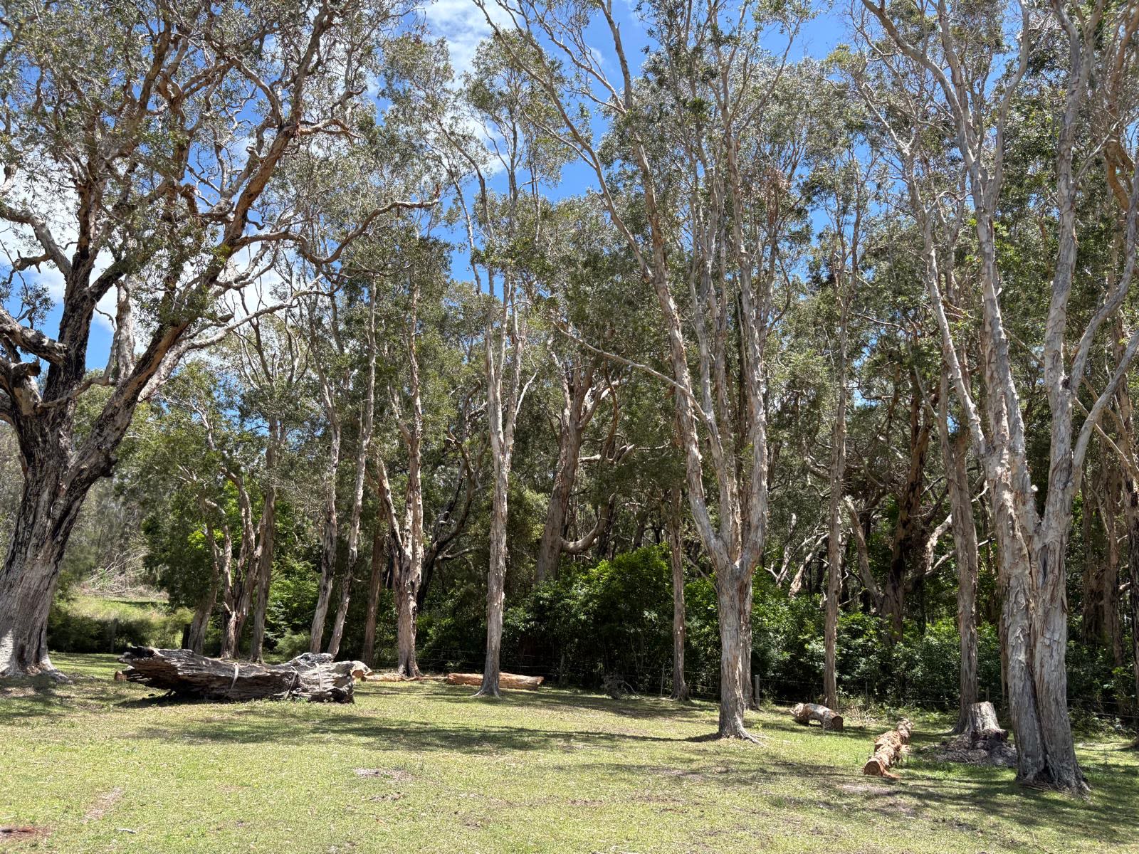 Murphy's Campground - Crescent Head