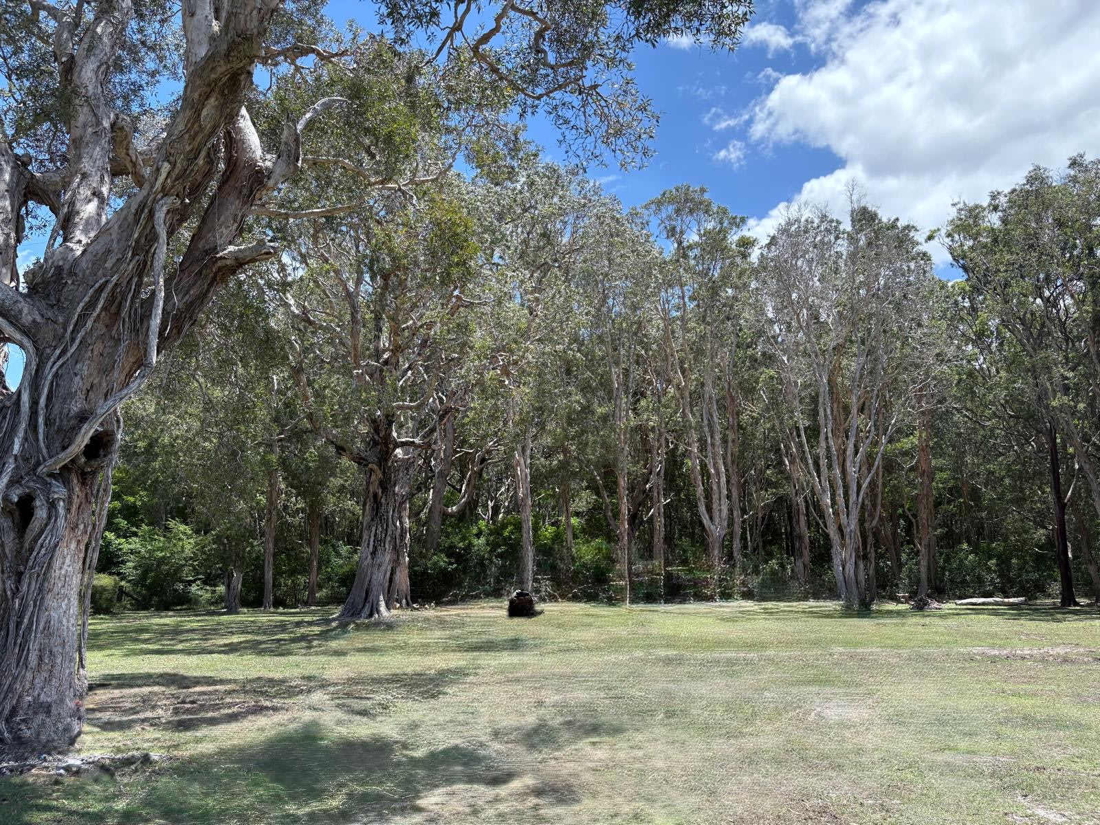 Murphy's Campground - Crescent Head