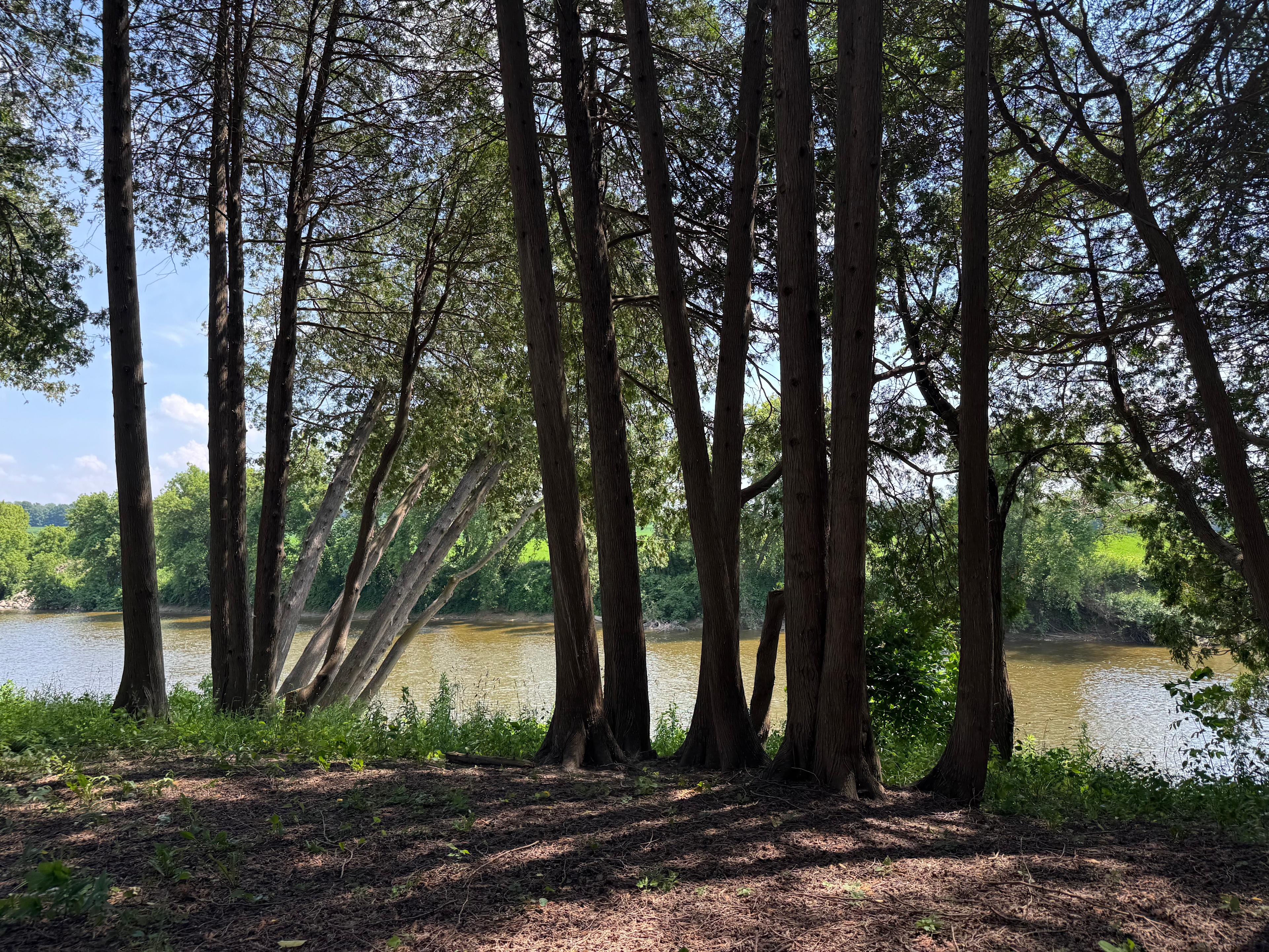 Pitts Riverside Home