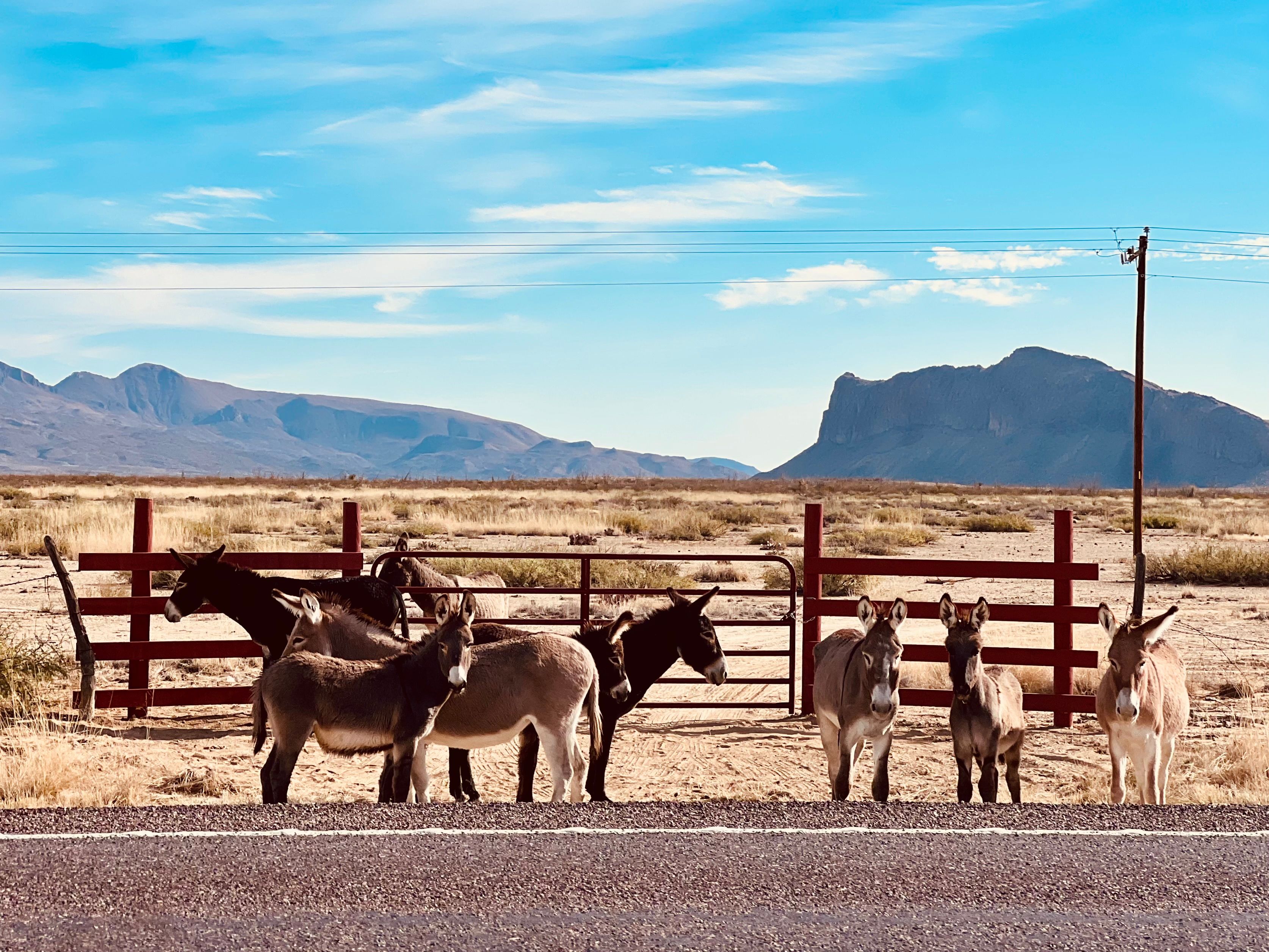 Red Bluff Vista Big Bend