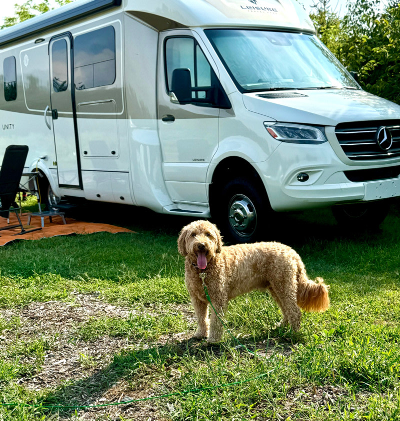 Organic Vegetable Farm