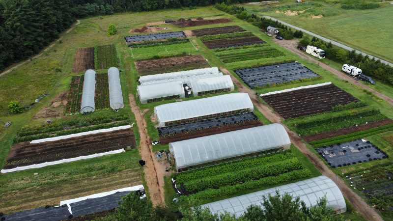 Organic Vegetable Farm
