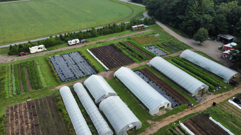 Organic Vegetable Farm