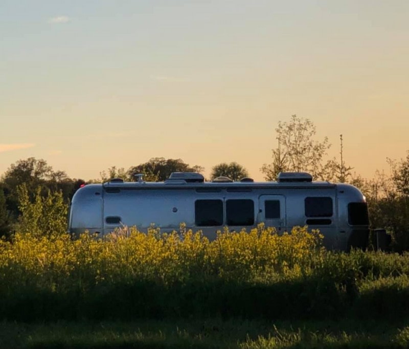 Organic Vegetable Farm