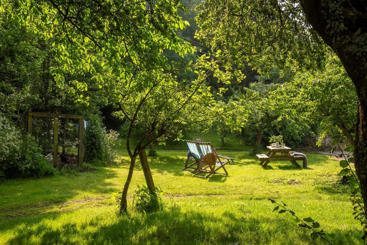 Fat Apples Cafe and Wild Camping