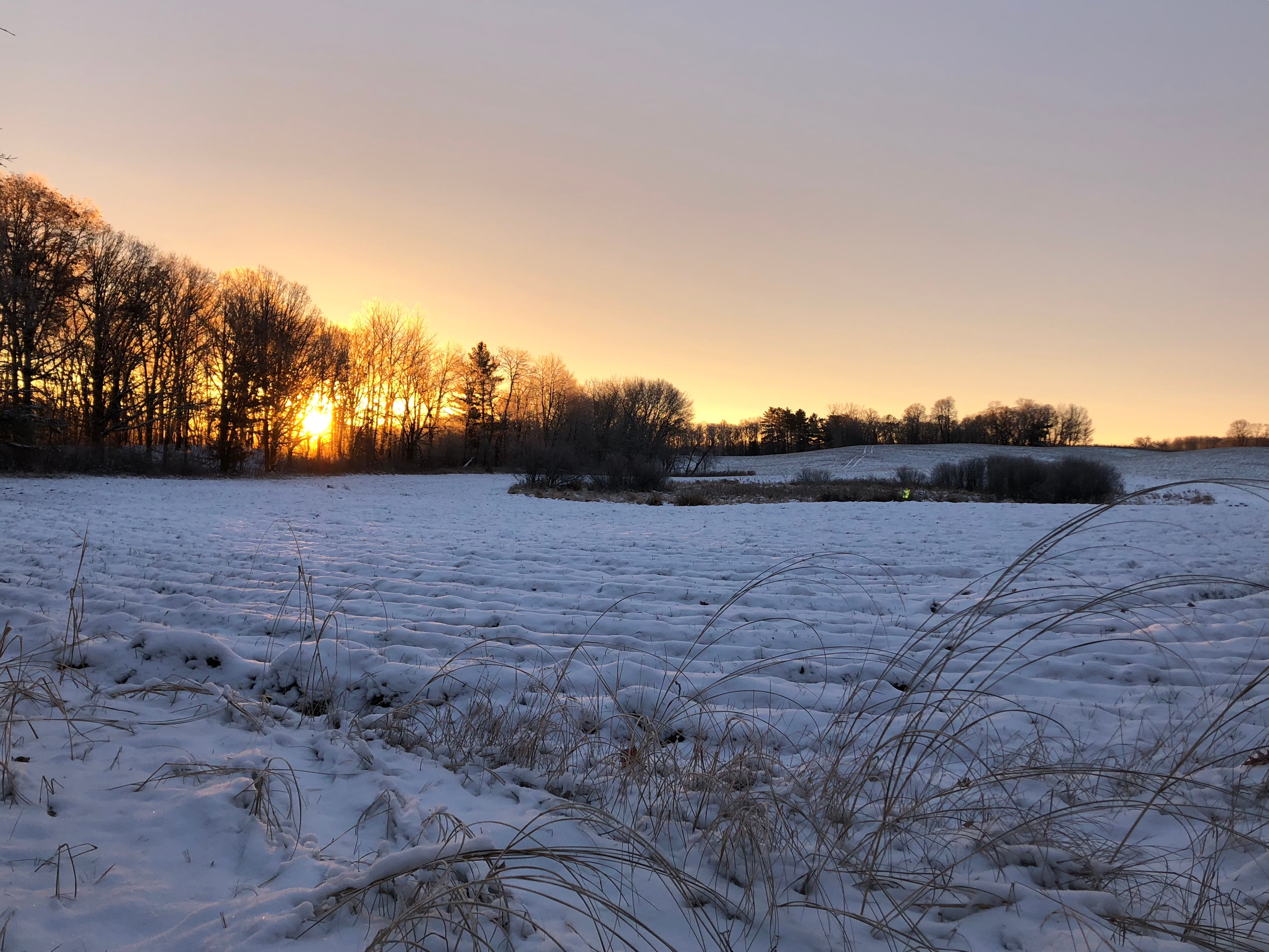 Toad Creek Camping & Hobby Farm