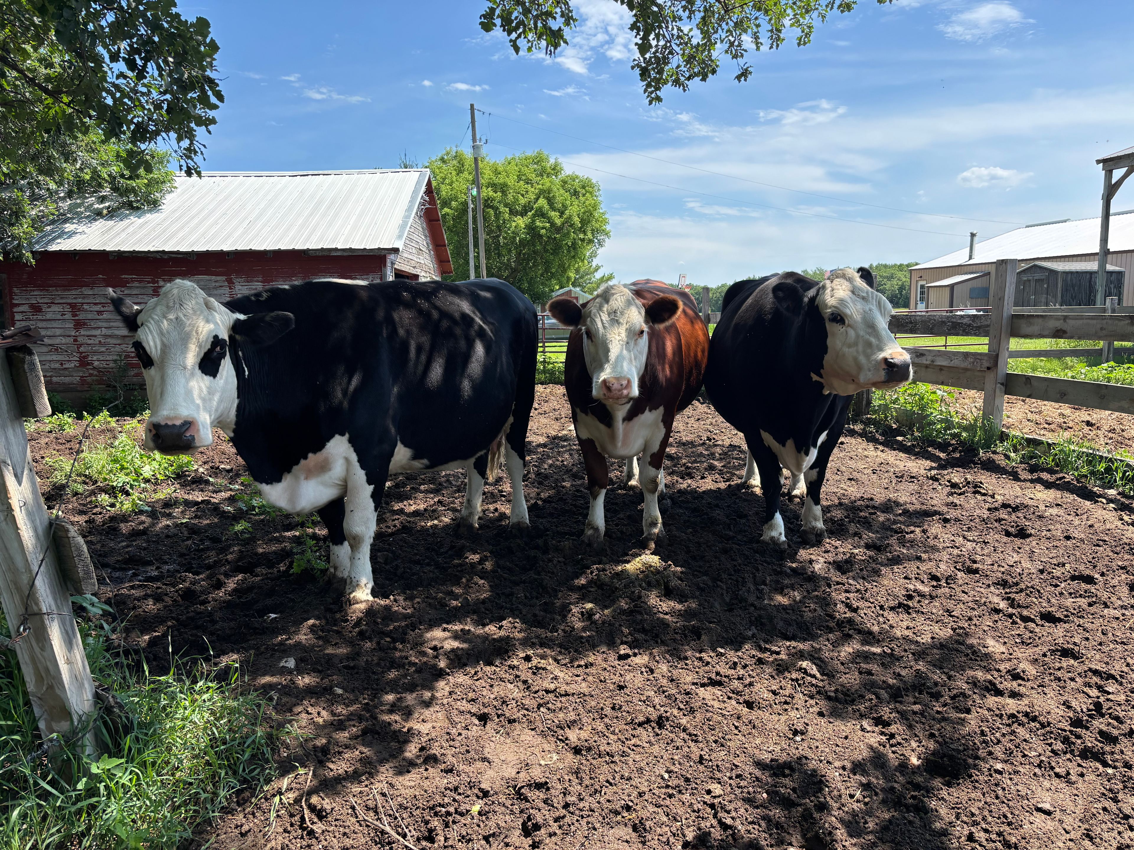 Toad Creek Camping & Hobby Farm