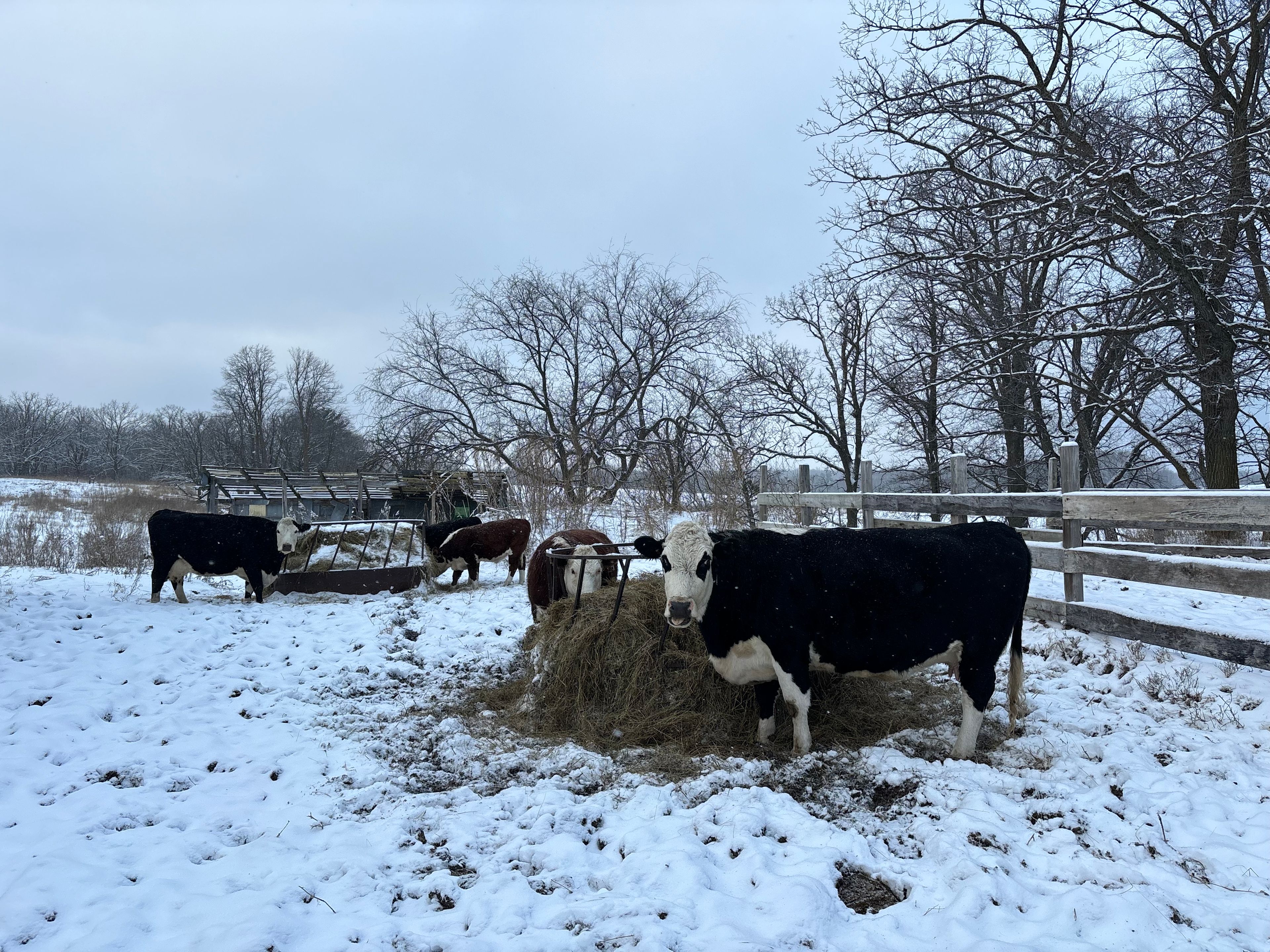 Toad Creek Camping & Hobby Farm
