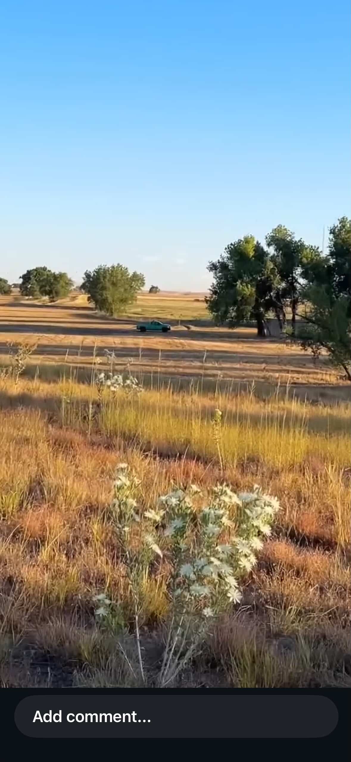 Agriculture Plains- 40 ACRE