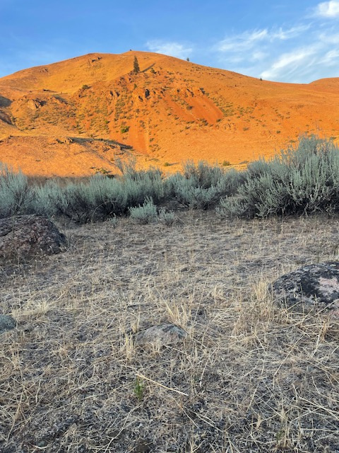 Magical Methow Valley Homestead