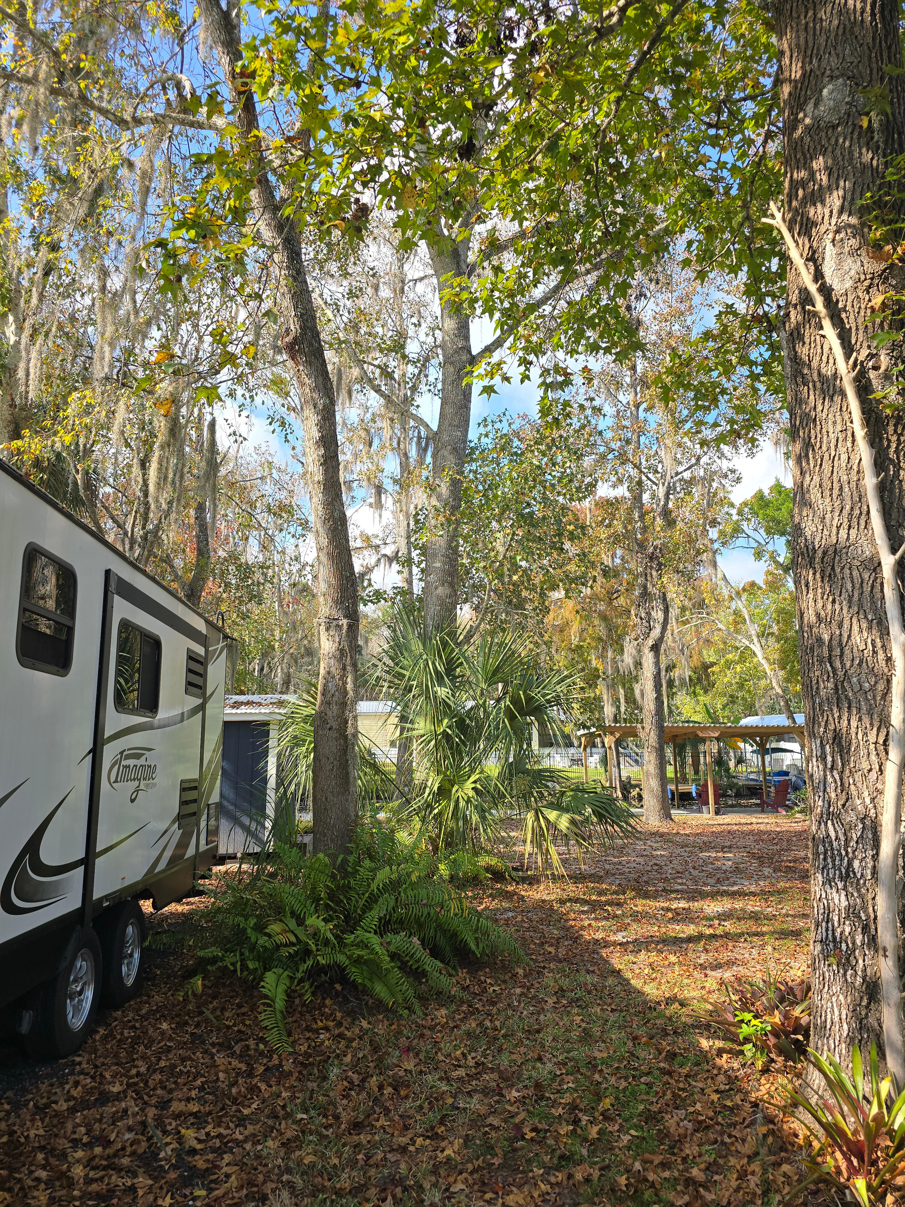 Driveway and yard back up to a canal leading to St Johns River. Enjoy coffee on the covered
 dock. 